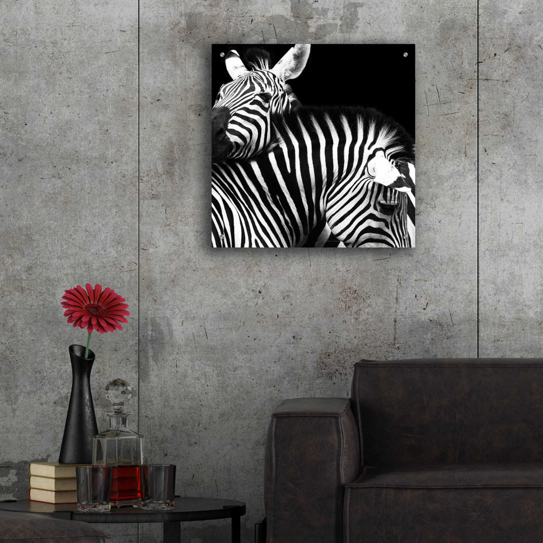 Epic Art 'Zebra VI' by Debra Van Swearingen, Acrylic Glass Wall Art,24x24