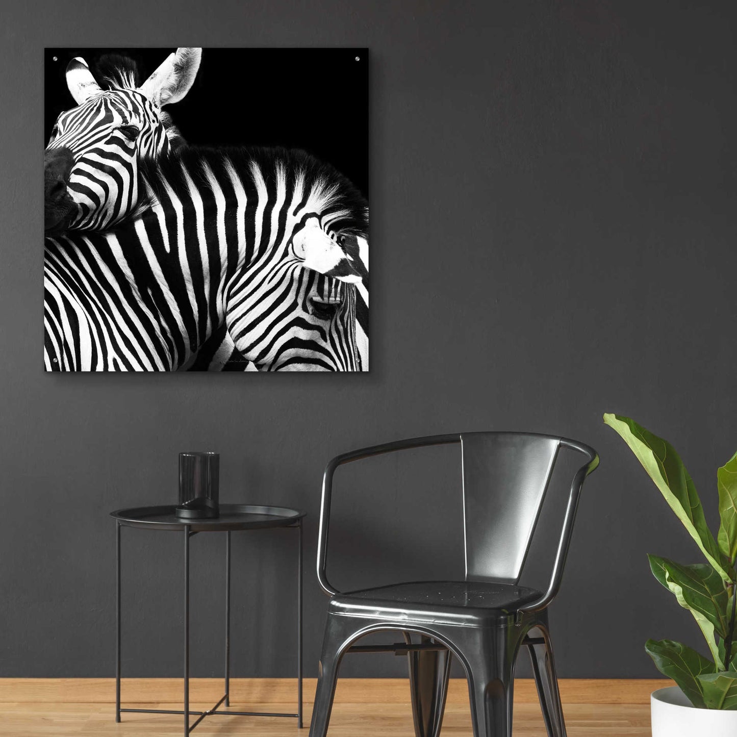 Epic Art 'Zebra VI' by Debra Van Swearingen, Acrylic Glass Wall Art,36x36