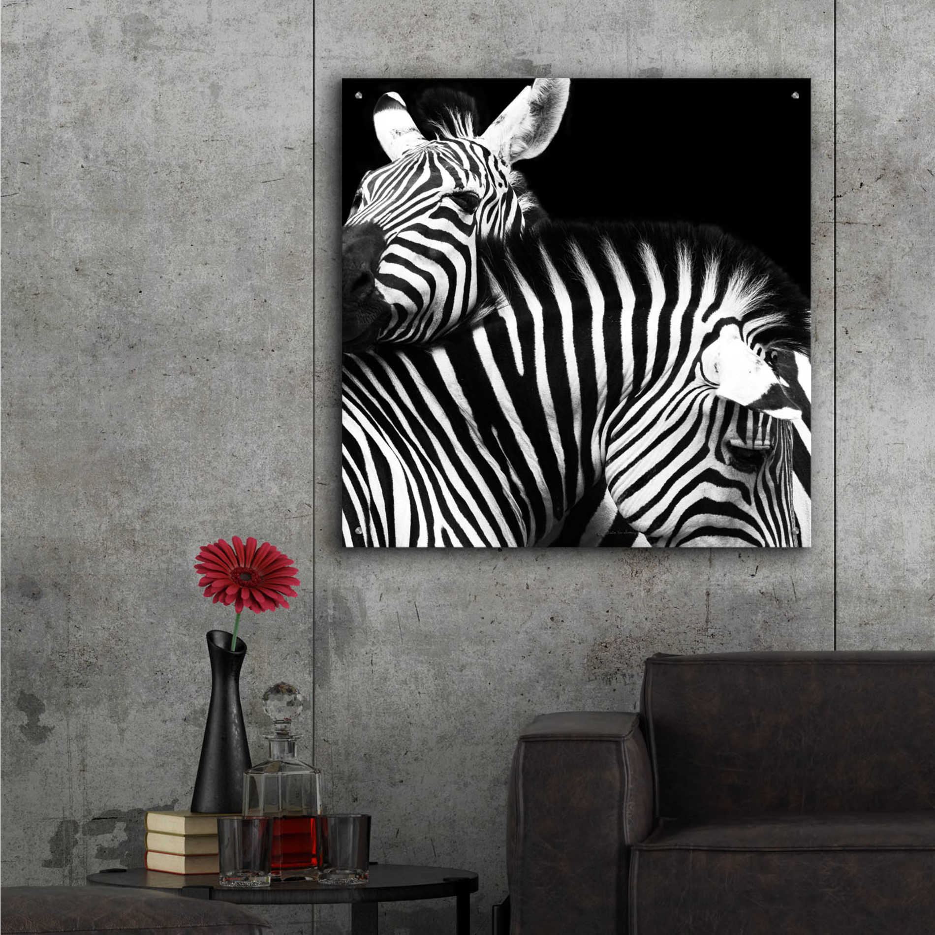 Epic Art 'Zebra VI' by Debra Van Swearingen, Acrylic Glass Wall Art,36x36