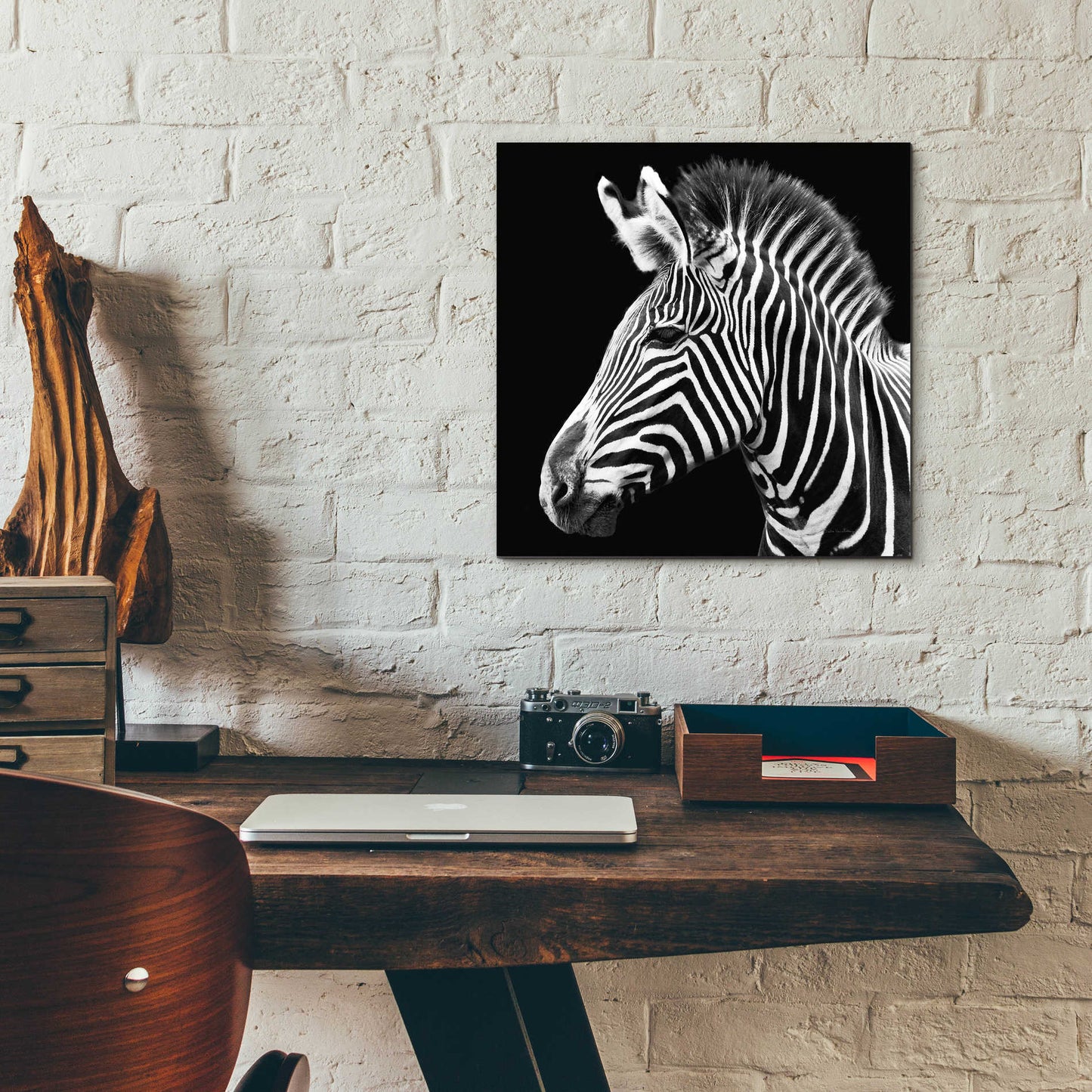 Epic Art 'Zebra VII' by Debra Van Swearingen, Acrylic Glass Wall Art,12x12