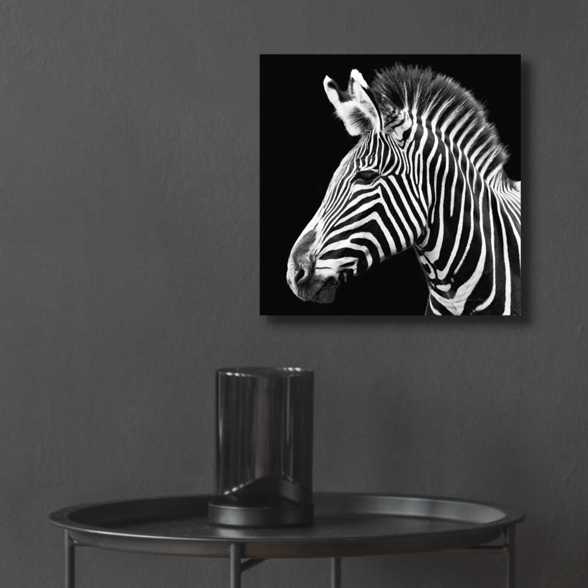 Epic Art 'Zebra VII' by Debra Van Swearingen, Acrylic Glass Wall Art,12x12