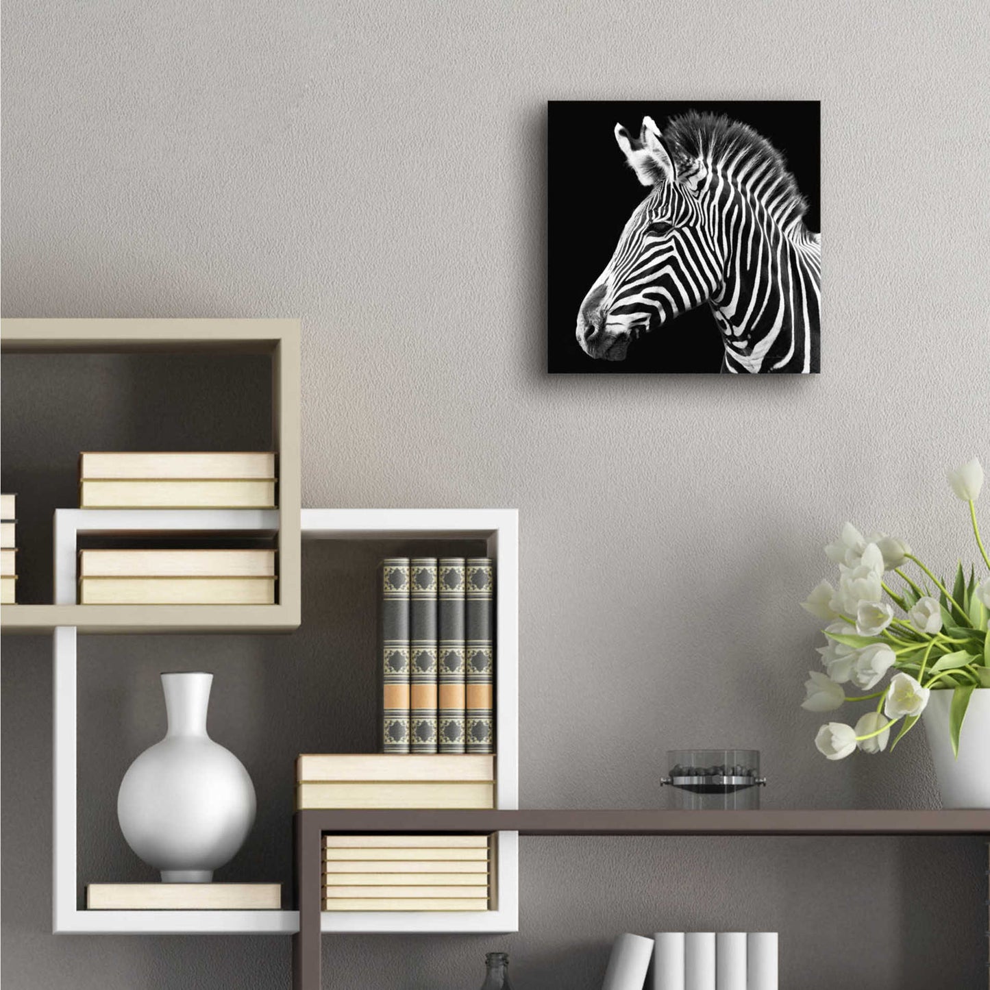 Epic Art 'Zebra VII' by Debra Van Swearingen, Acrylic Glass Wall Art,12x12