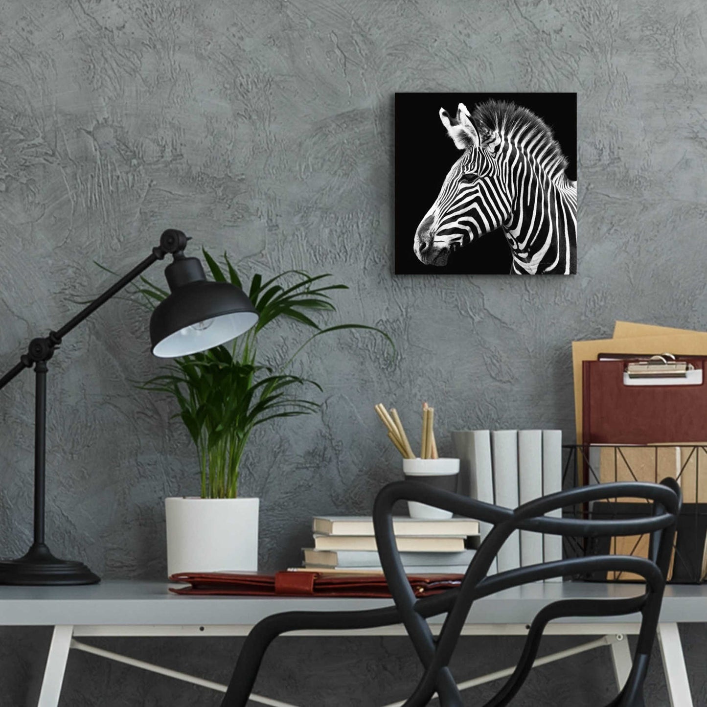 Epic Art 'Zebra VII' by Debra Van Swearingen, Acrylic Glass Wall Art,12x12