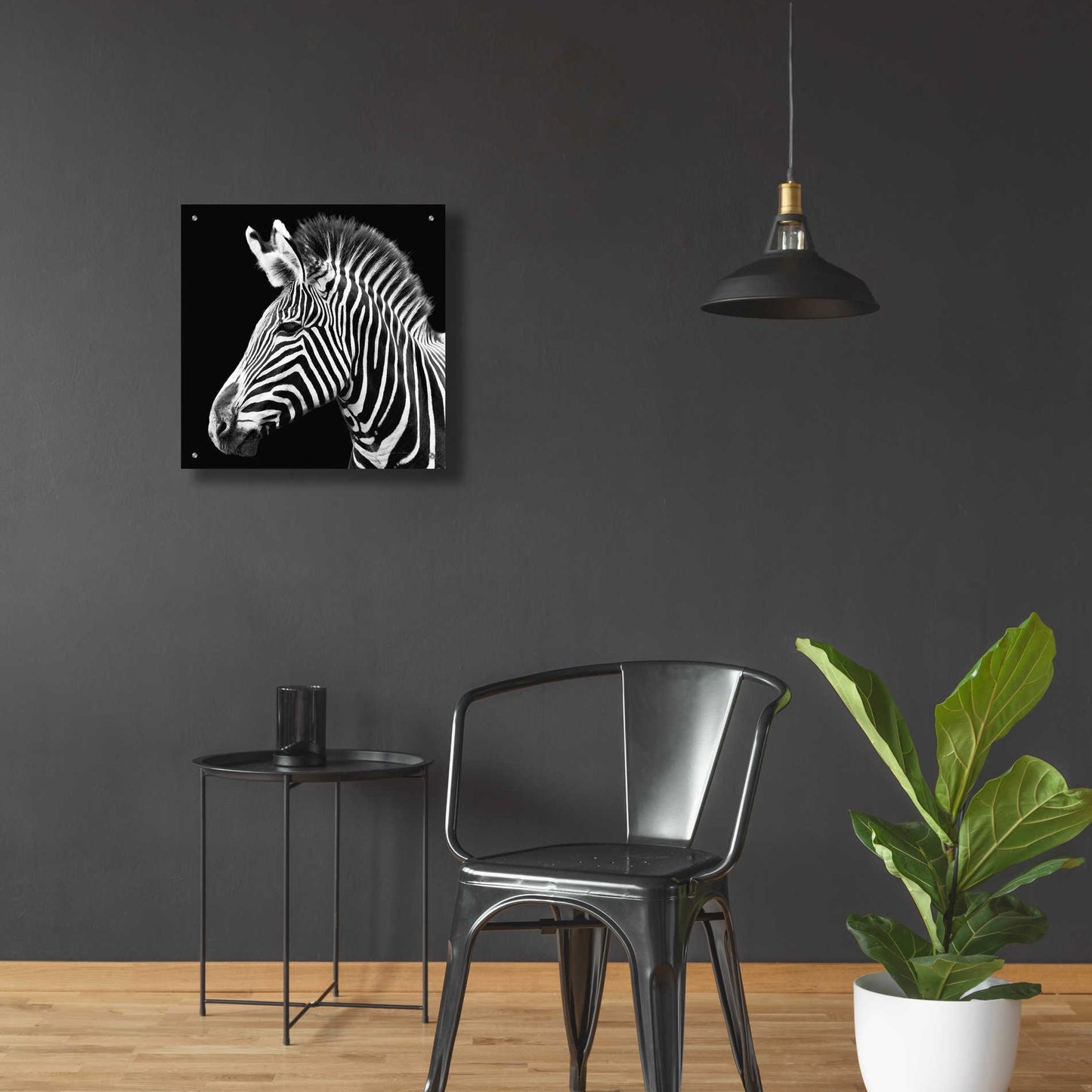 Epic Art 'Zebra VII' by Debra Van Swearingen, Acrylic Glass Wall Art,24x24