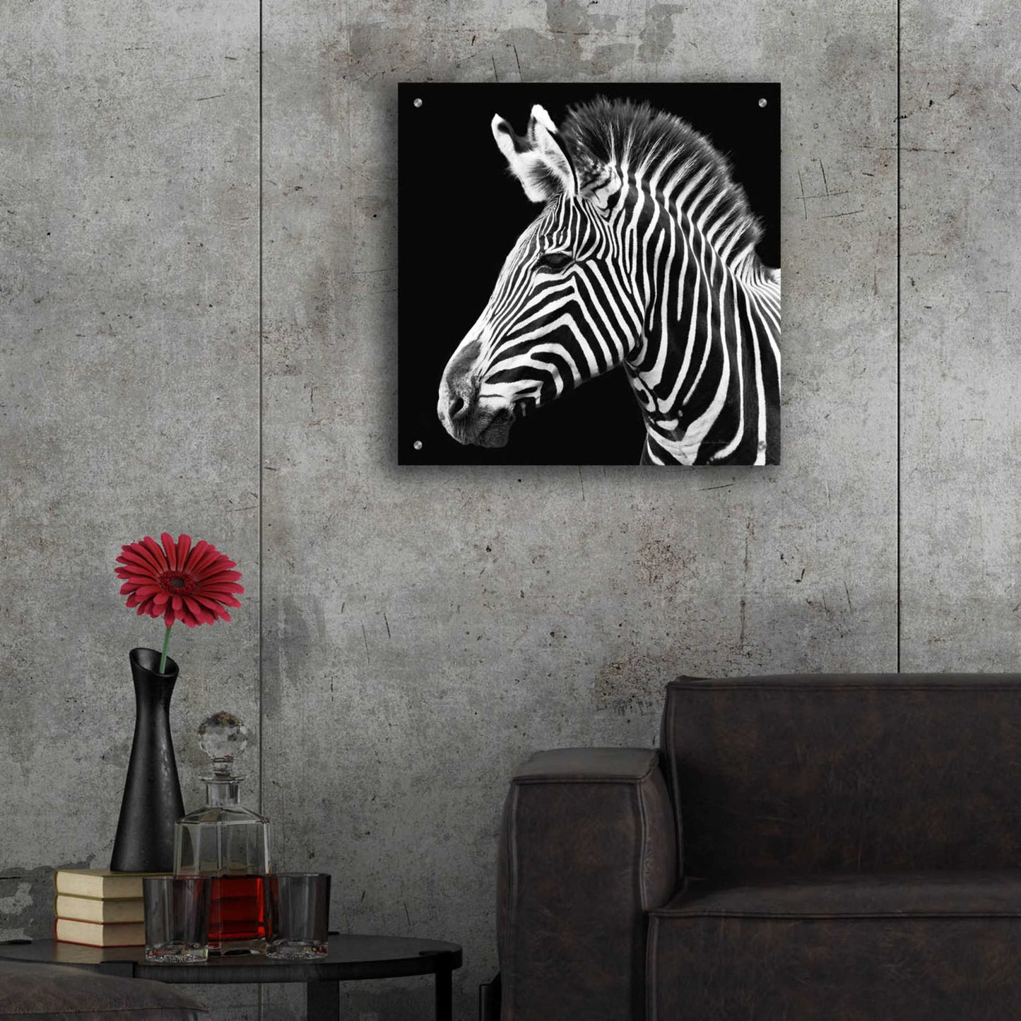 Epic Art 'Zebra VII' by Debra Van Swearingen, Acrylic Glass Wall Art,24x24