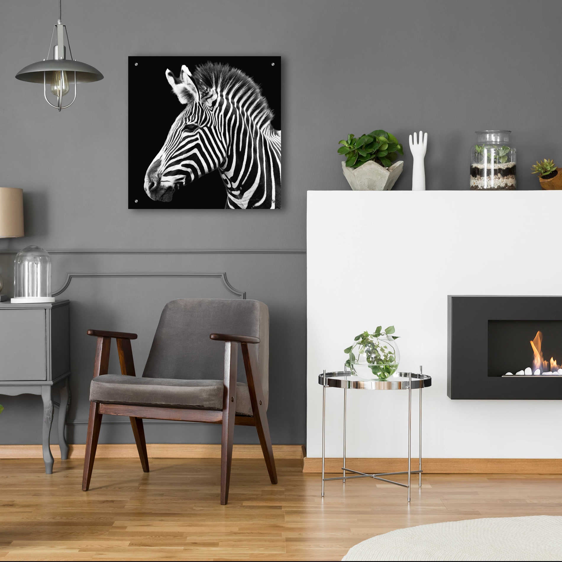 Epic Art 'Zebra VII' by Debra Van Swearingen, Acrylic Glass Wall Art,24x24