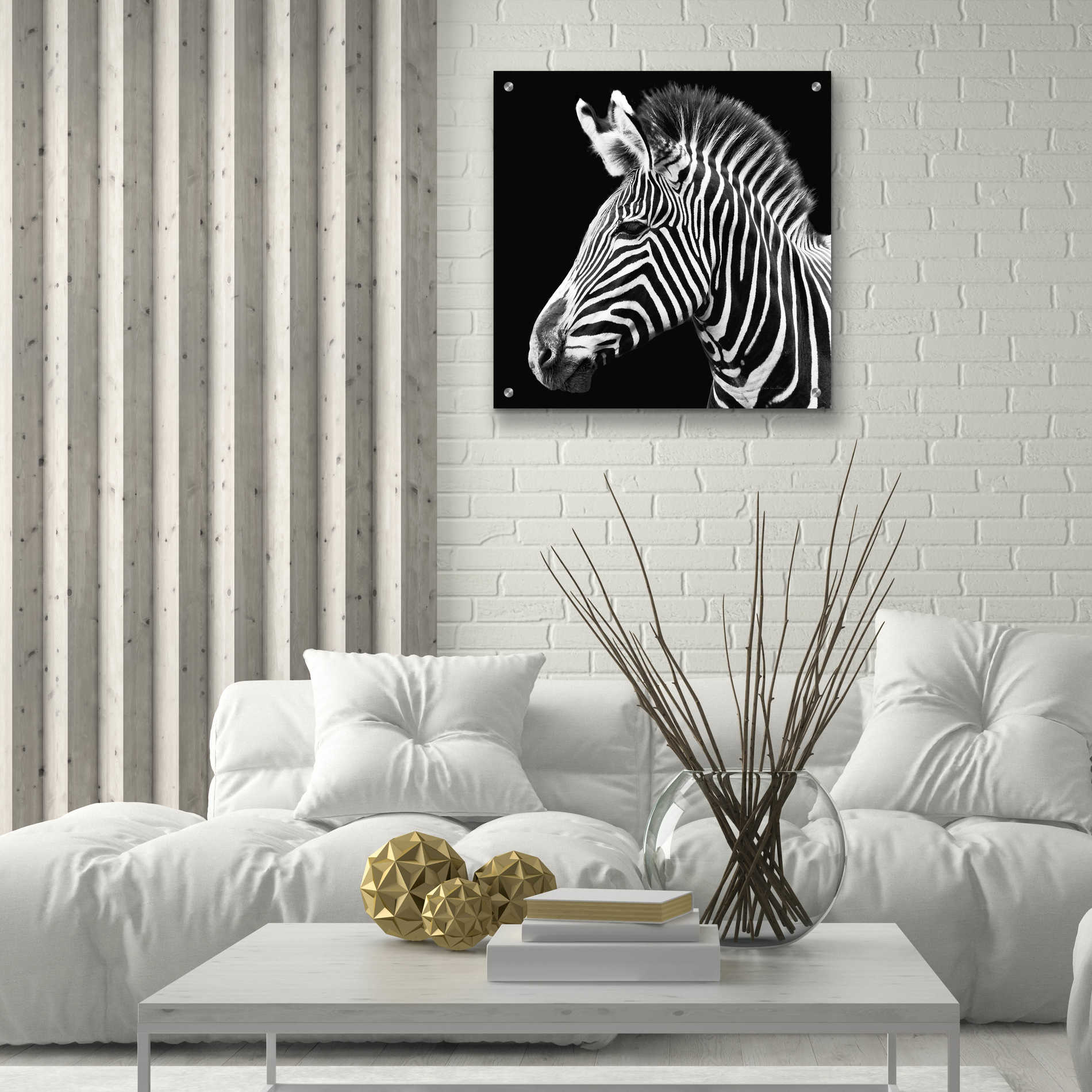 Epic Art 'Zebra VII' by Debra Van Swearingen, Acrylic Glass Wall Art,24x24