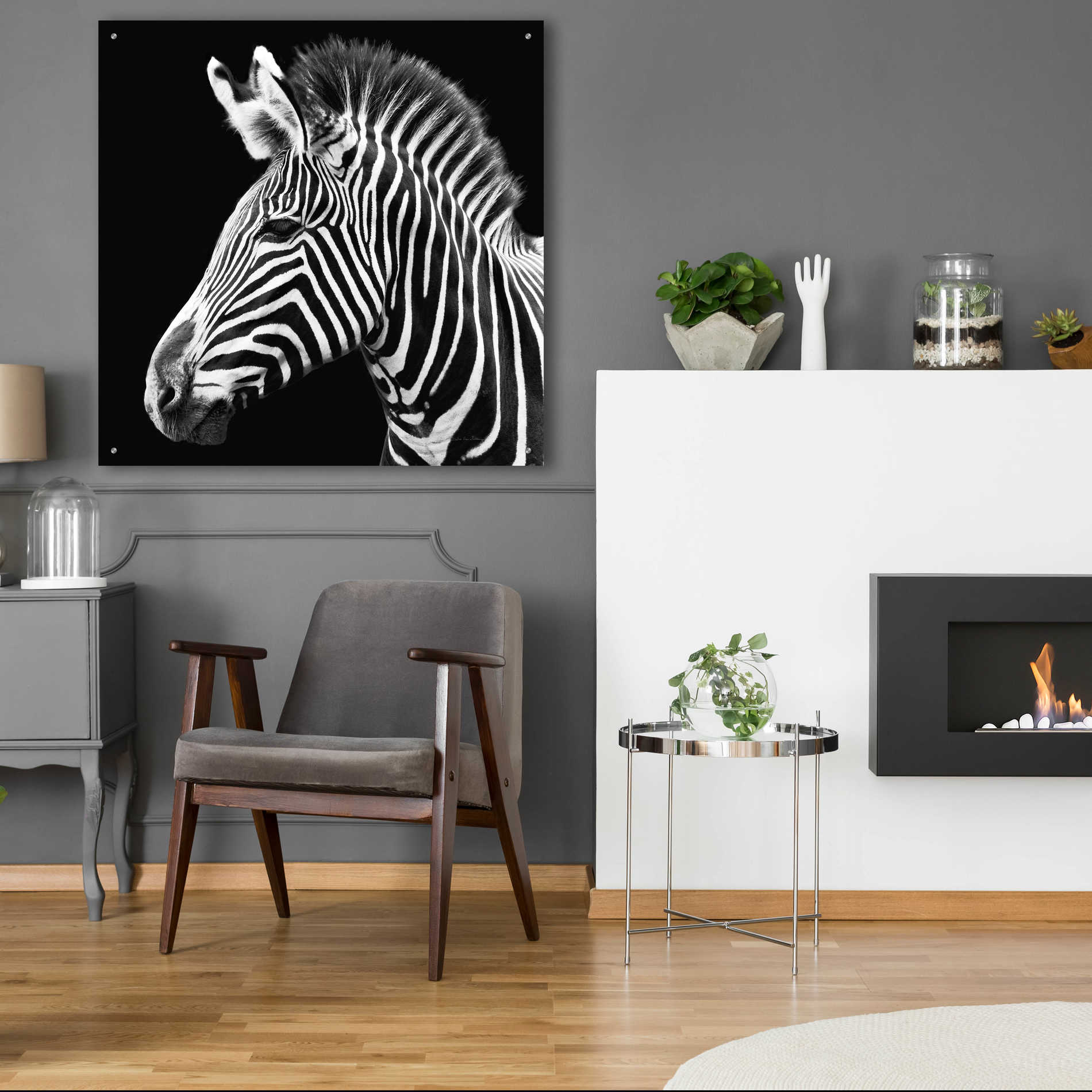 Epic Art 'Zebra VII' by Debra Van Swearingen, Acrylic Glass Wall Art,36x36