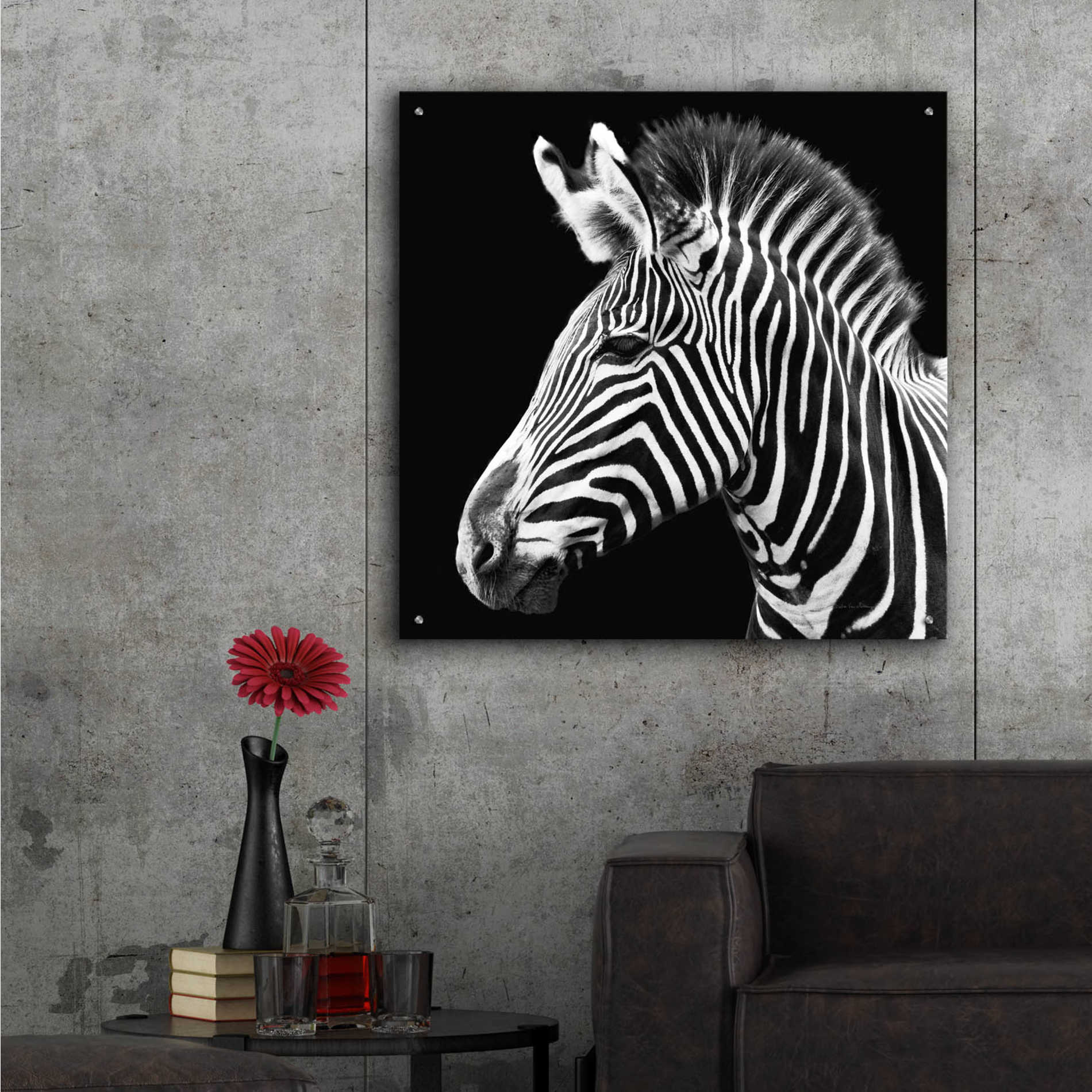 Epic Art 'Zebra VII' by Debra Van Swearingen, Acrylic Glass Wall Art,36x36