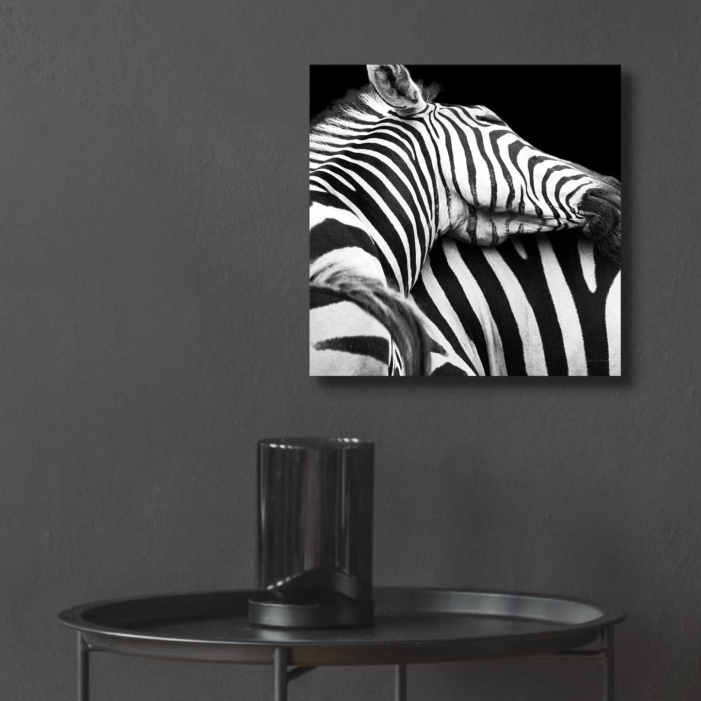 Epic Art 'Zebra VIII' by Debra Van Swearingen, Acrylic Glass Wall Art,12x12