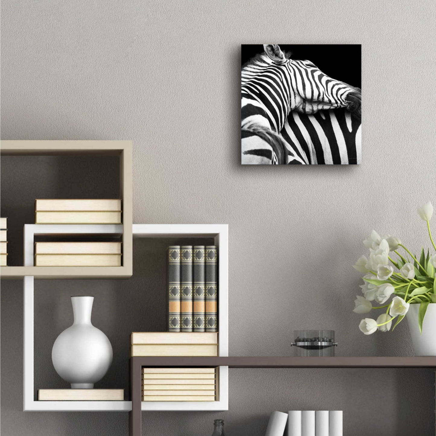 Epic Art 'Zebra VIII' by Debra Van Swearingen, Acrylic Glass Wall Art,12x12