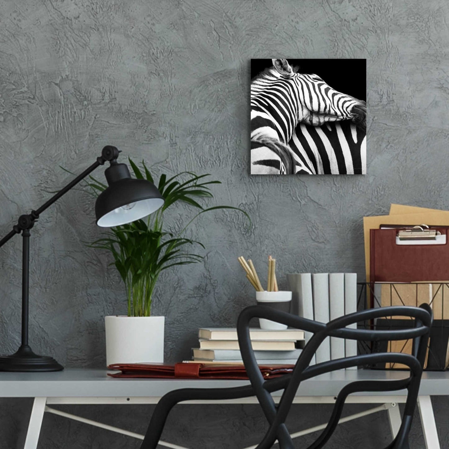 Epic Art 'Zebra VIII' by Debra Van Swearingen, Acrylic Glass Wall Art,12x12