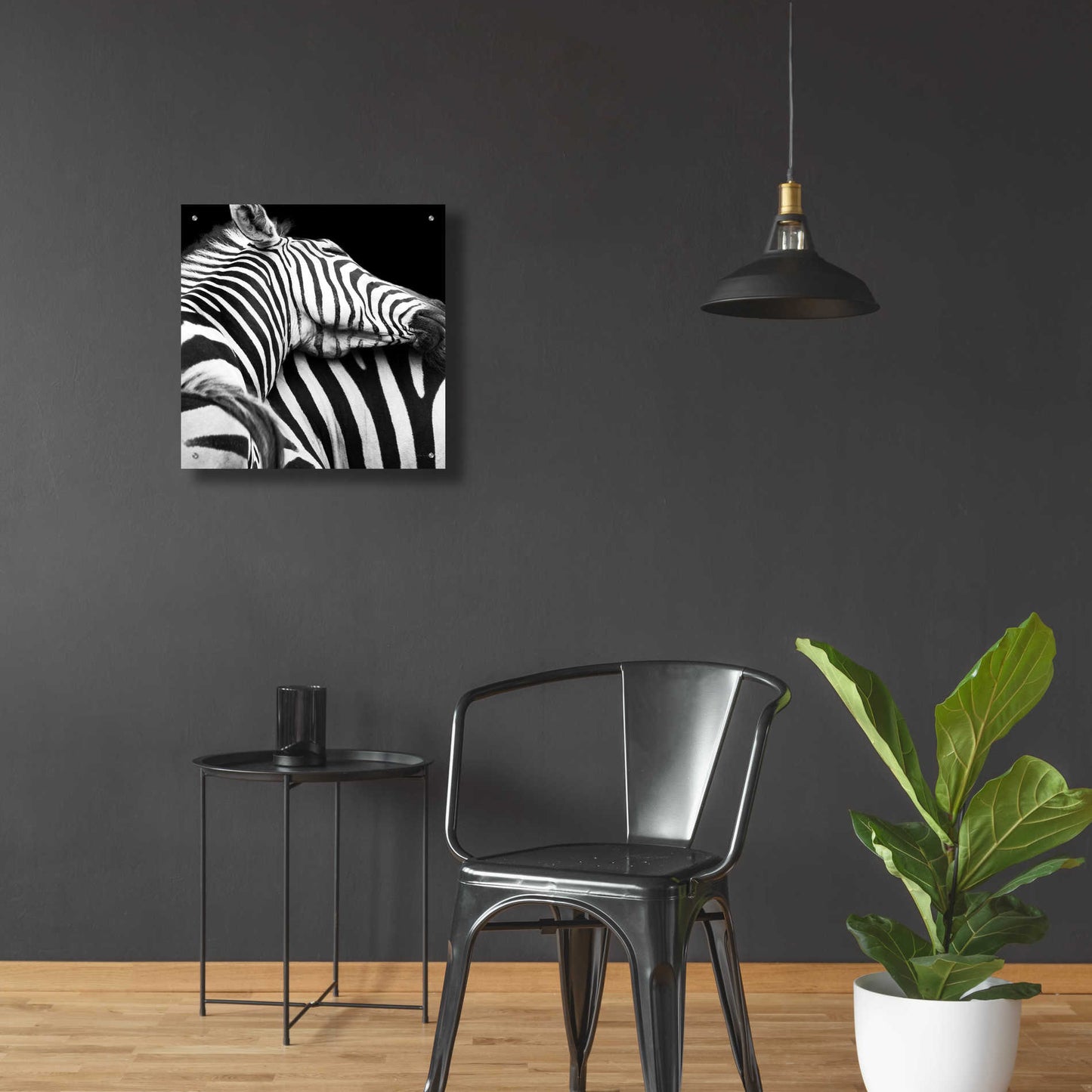 Epic Art 'Zebra VIII' by Debra Van Swearingen, Acrylic Glass Wall Art,24x24