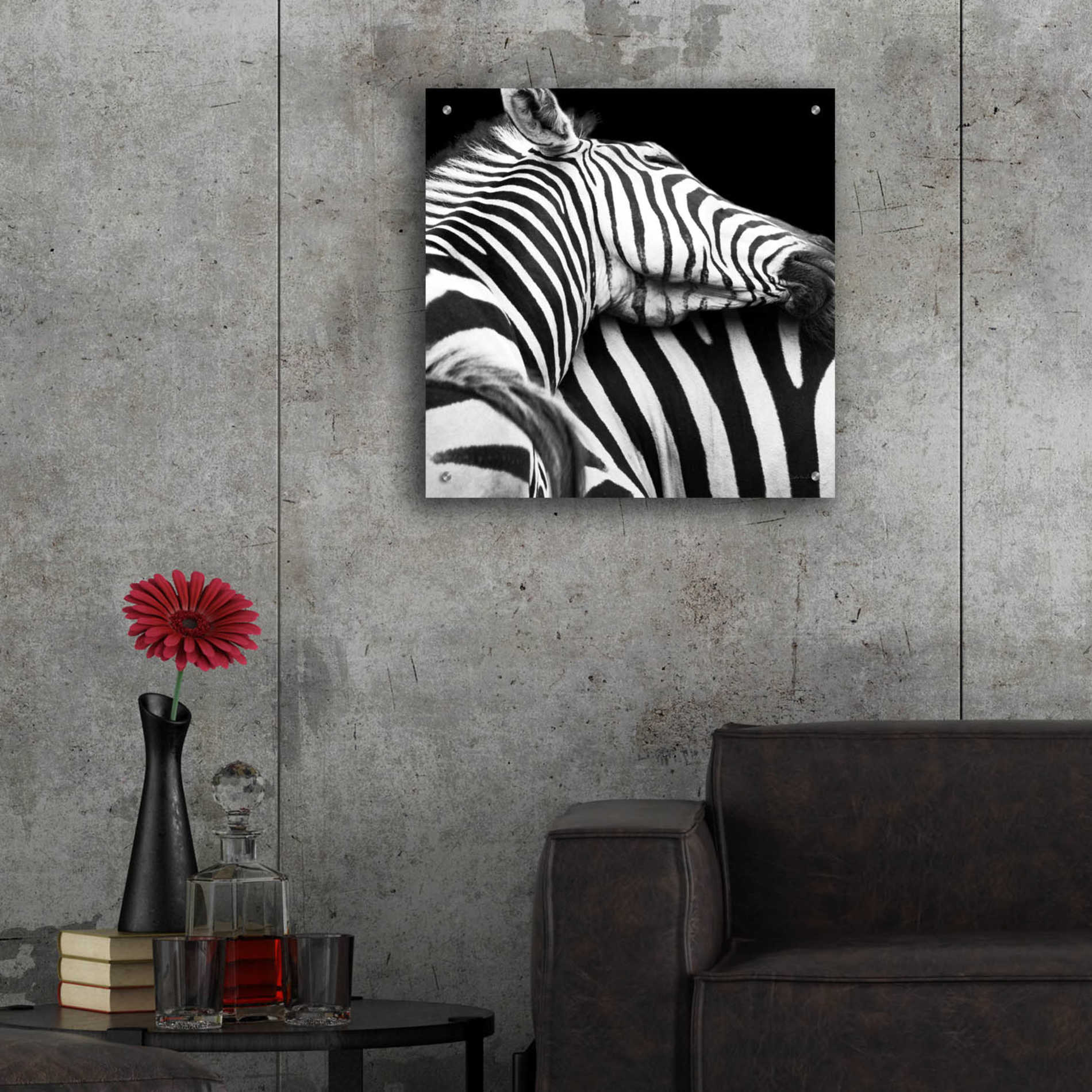 Epic Art 'Zebra VIII' by Debra Van Swearingen, Acrylic Glass Wall Art,24x24