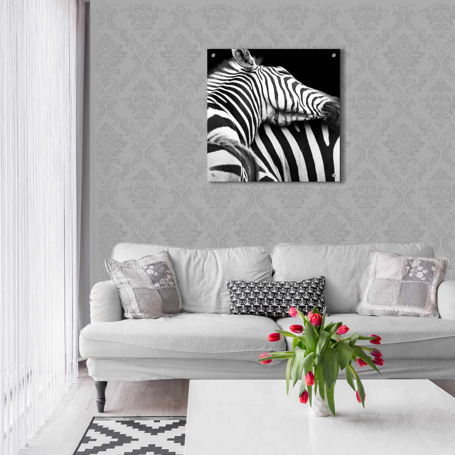 Epic Art 'Zebra VIII' by Debra Van Swearingen, Acrylic Glass Wall Art,24x24