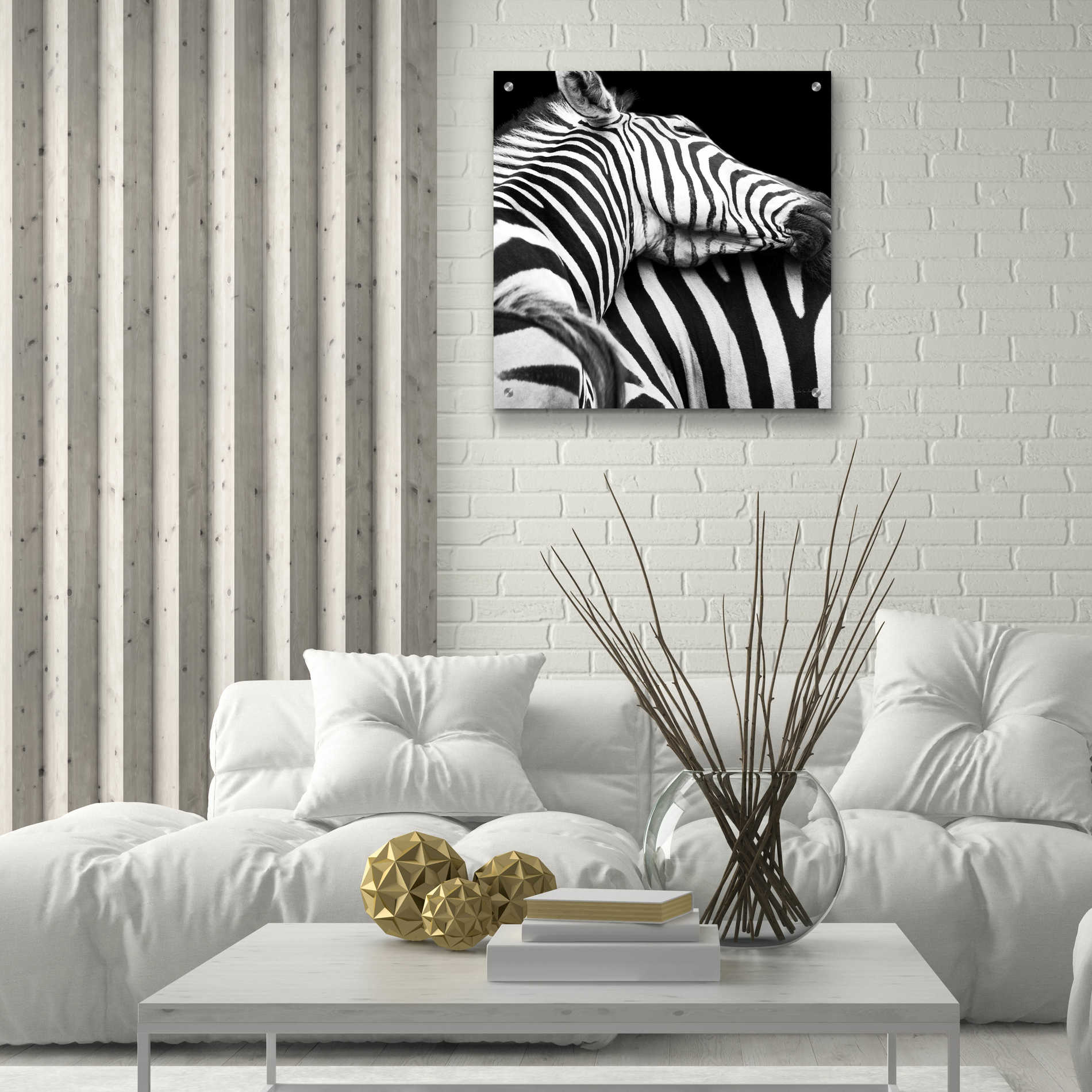 Epic Art 'Zebra VIII' by Debra Van Swearingen, Acrylic Glass Wall Art,24x24