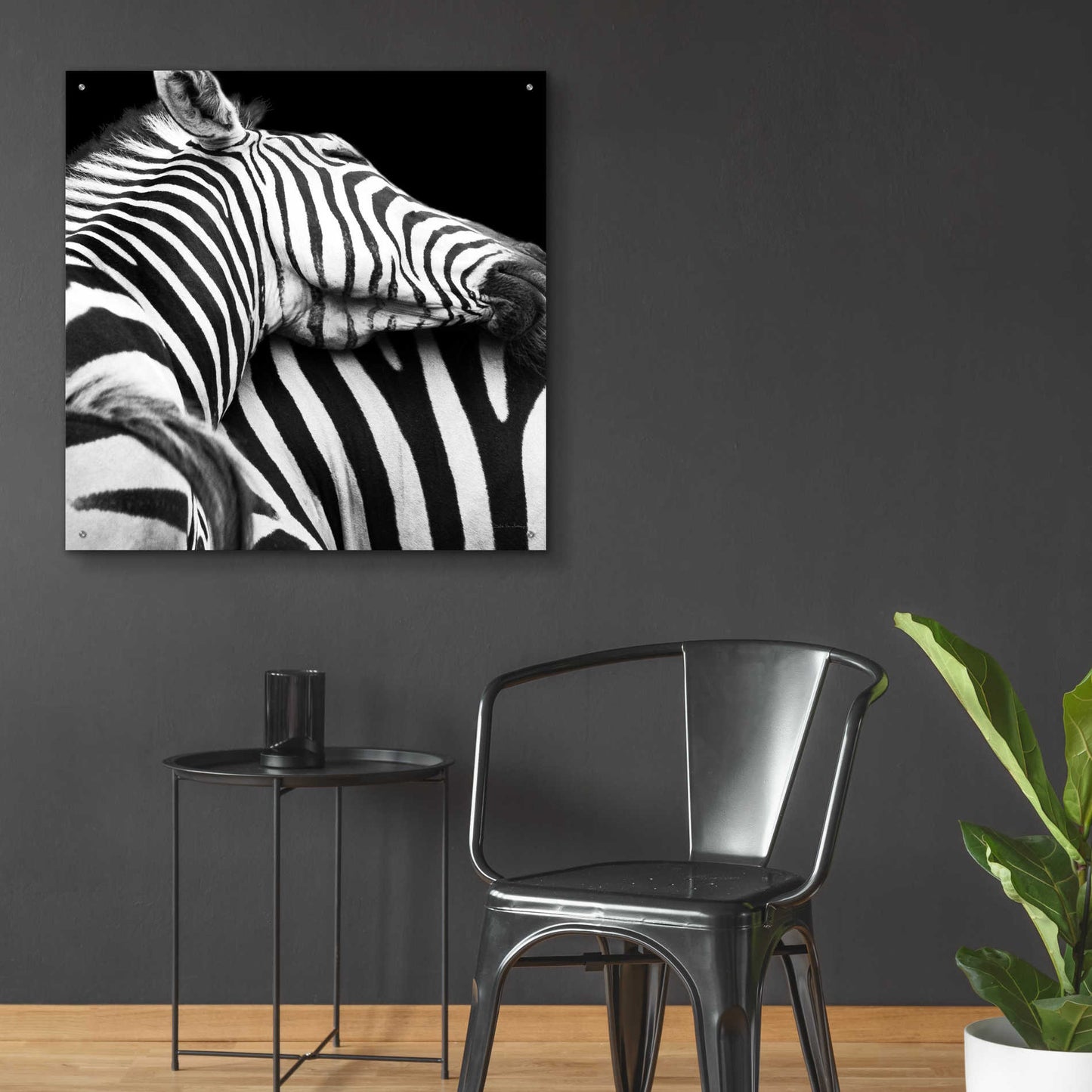 Epic Art 'Zebra VIII' by Debra Van Swearingen, Acrylic Glass Wall Art,36x36