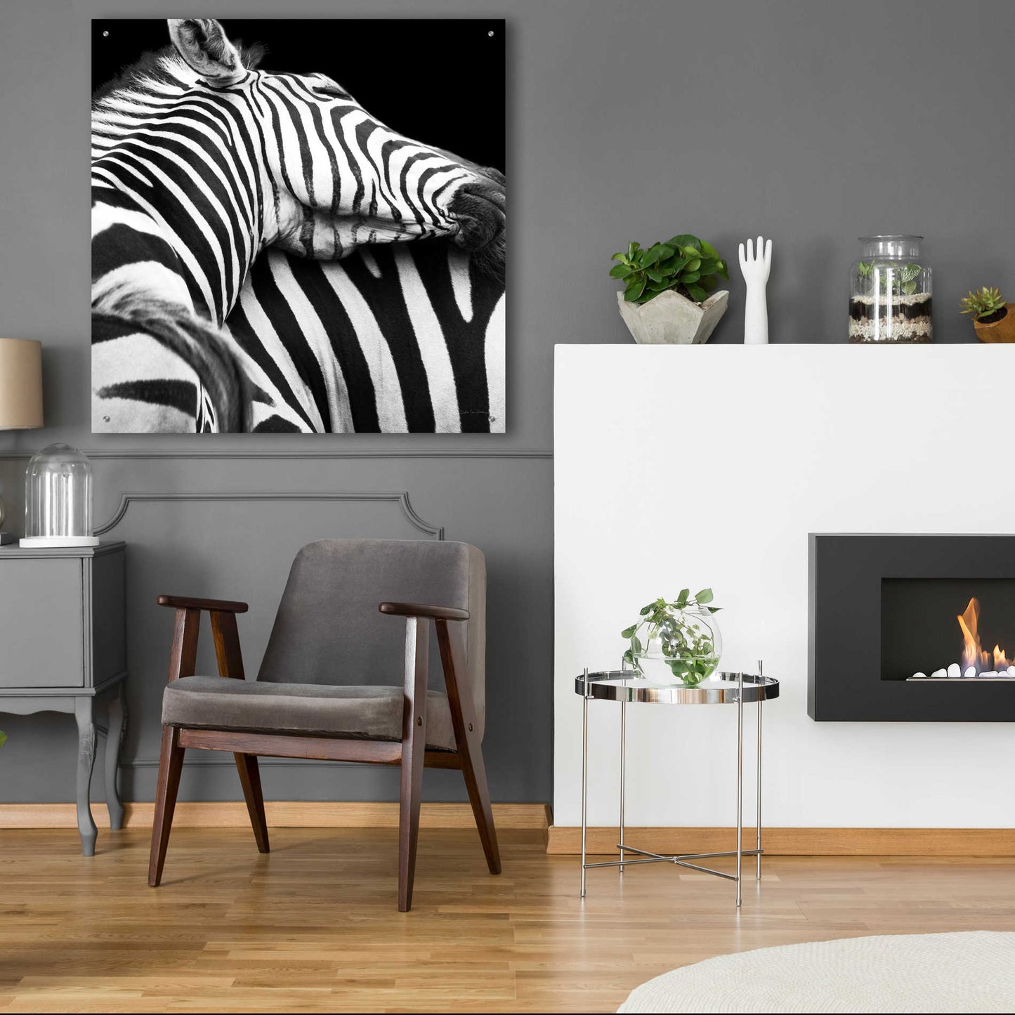 Epic Art 'Zebra VIII' by Debra Van Swearingen, Acrylic Glass Wall Art,36x36