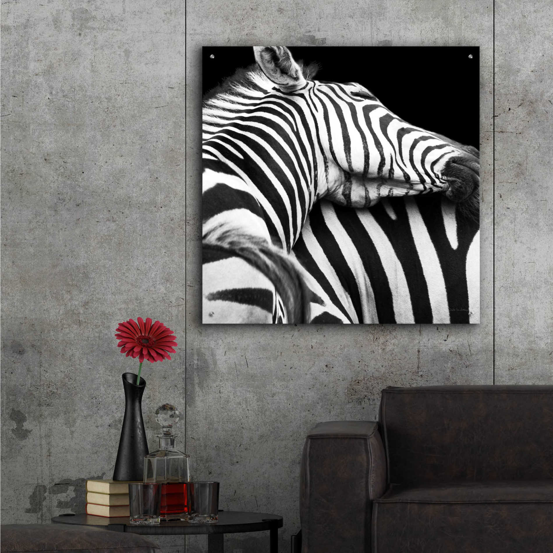 Epic Art 'Zebra VIII' by Debra Van Swearingen, Acrylic Glass Wall Art,36x36