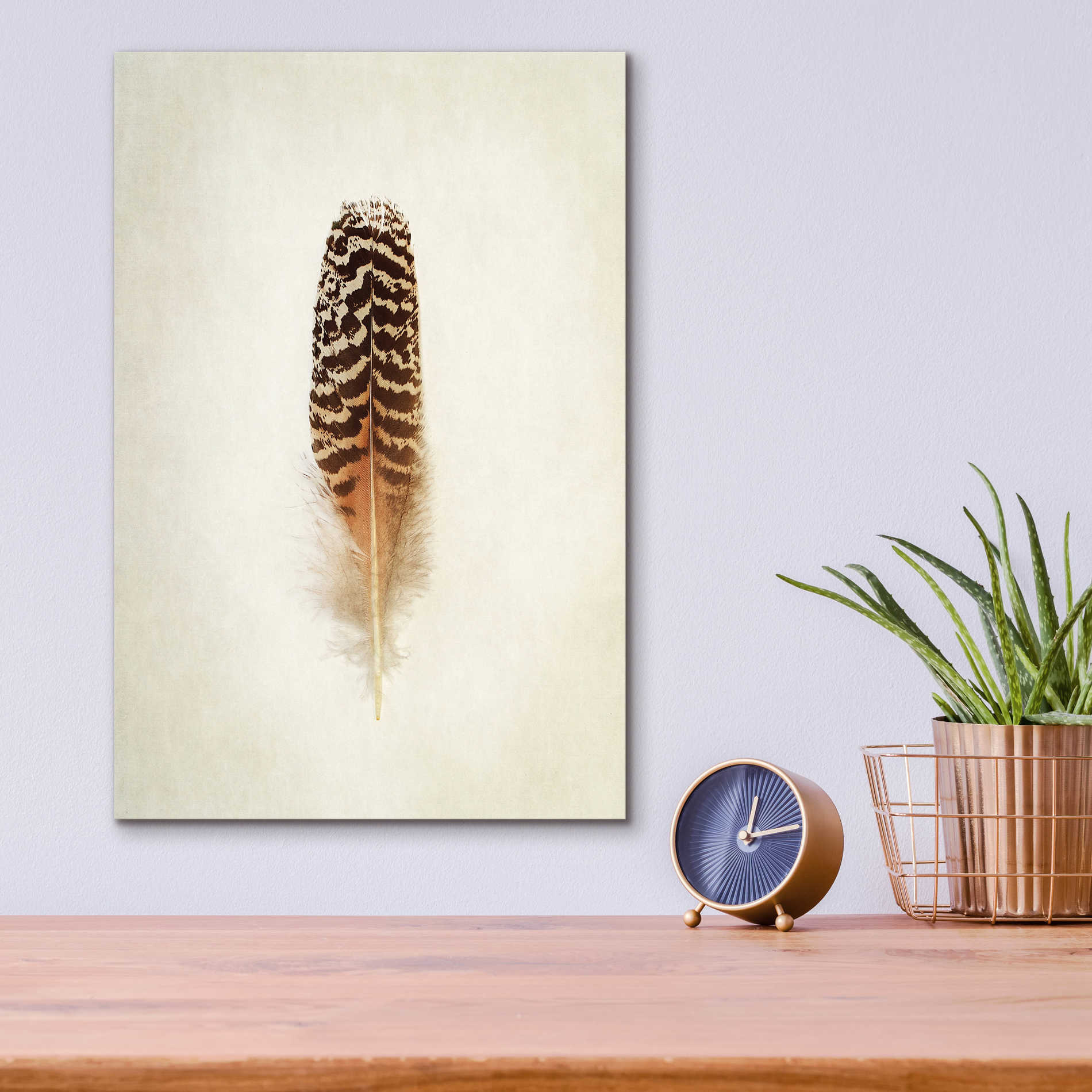 Epic Art 'Feather I' by Debra Van Swearingen, Acrylic Glass Wall Art,12x16