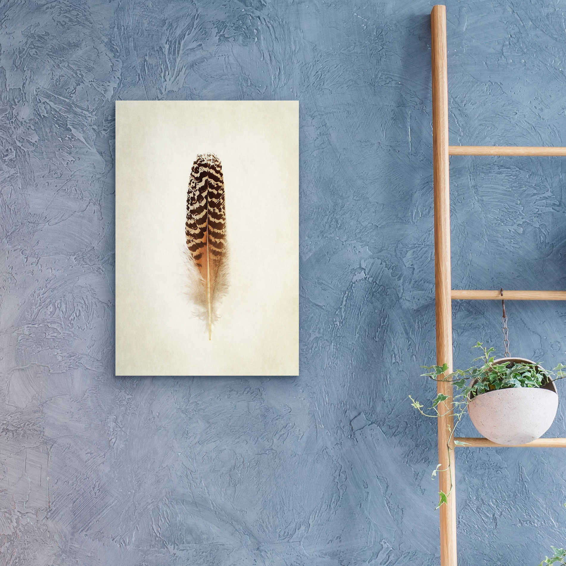 Epic Art 'Feather I' by Debra Van Swearingen, Acrylic Glass Wall Art,16x24