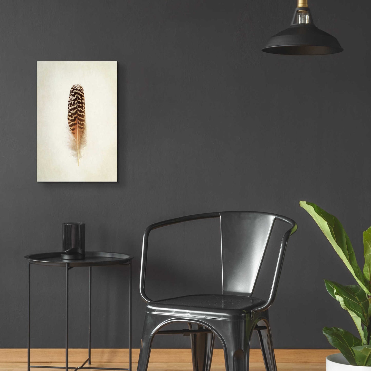 Epic Art 'Feather I' by Debra Van Swearingen, Acrylic Glass Wall Art,16x24