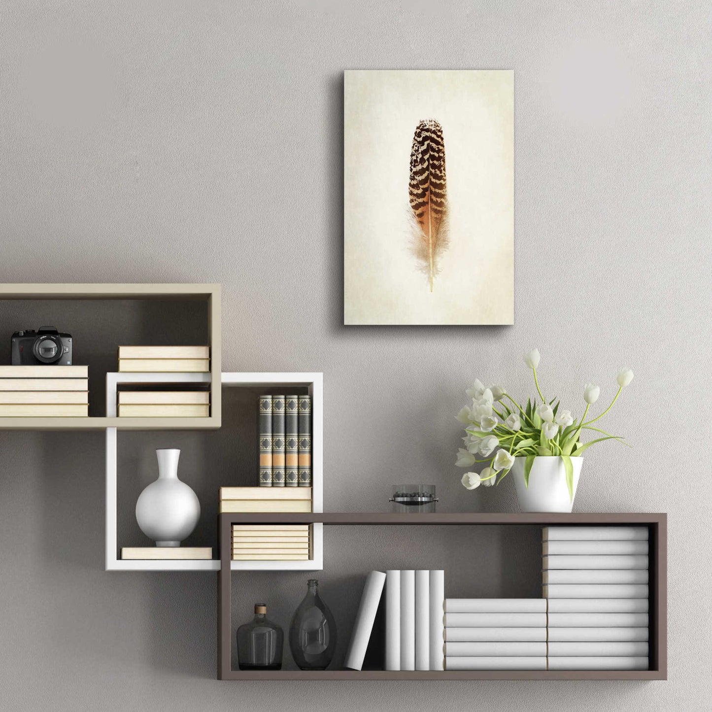 Epic Art 'Feather I' by Debra Van Swearingen, Acrylic Glass Wall Art,16x24