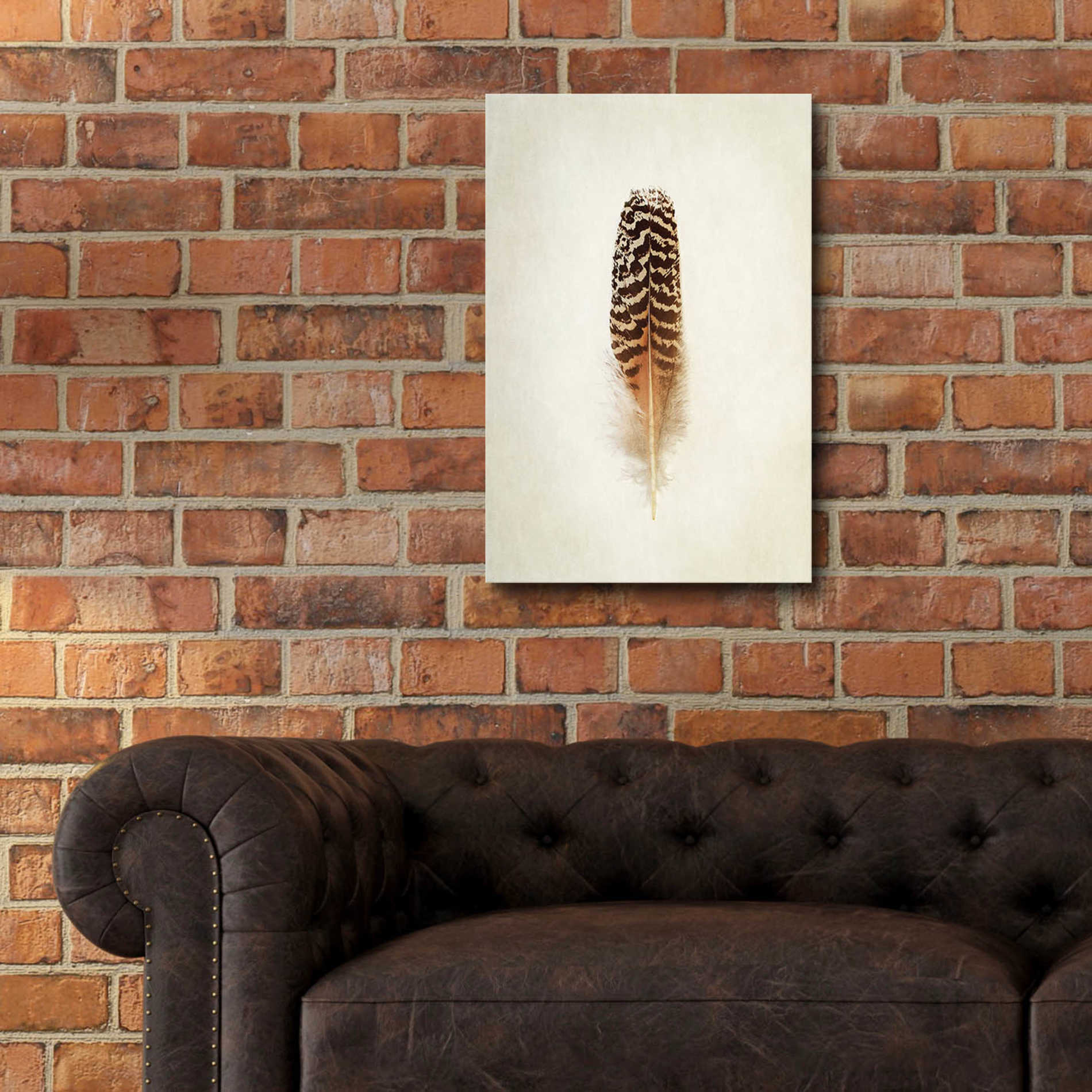 Epic Art 'Feather I' by Debra Van Swearingen, Acrylic Glass Wall Art,16x24