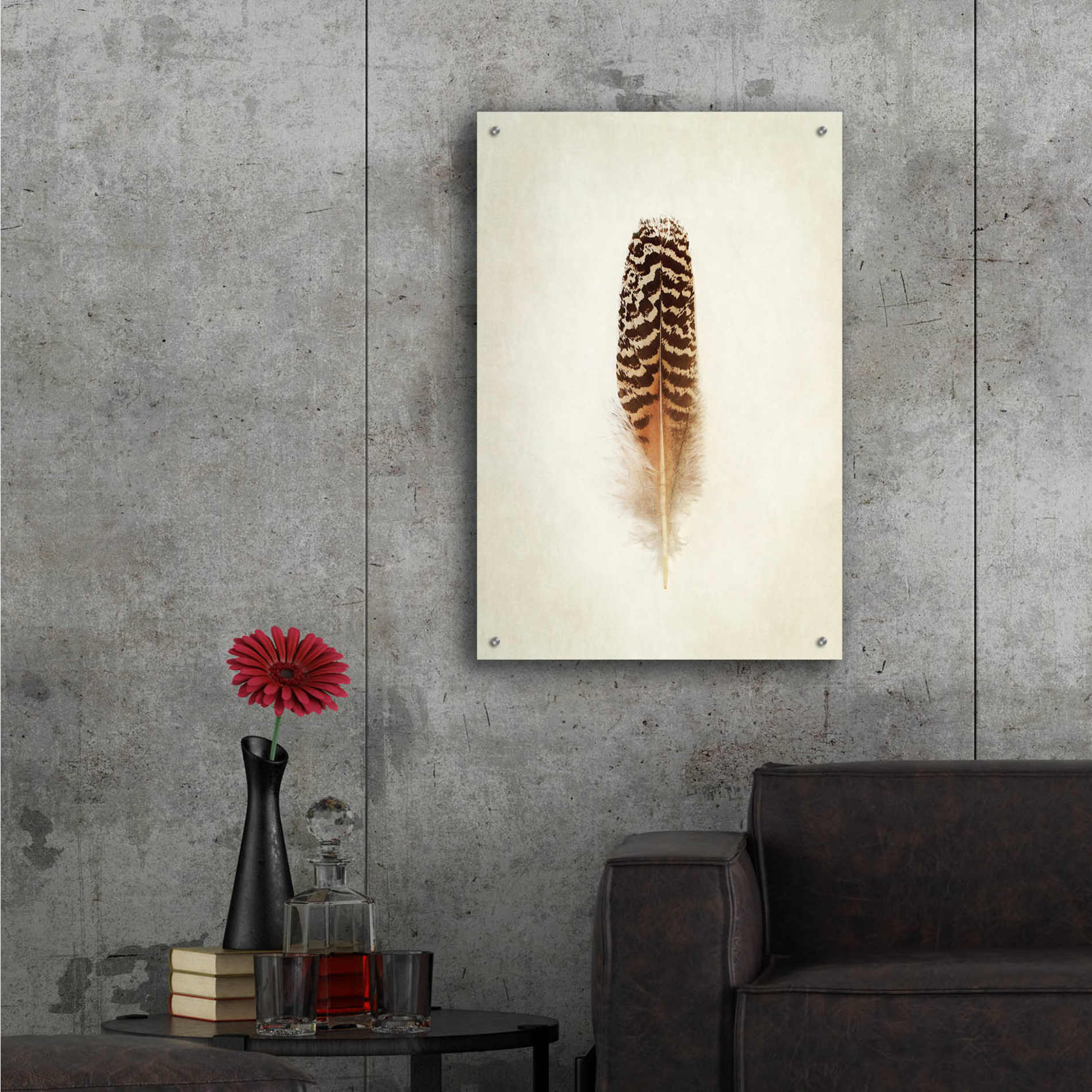 Epic Art 'Feather I' by Debra Van Swearingen, Acrylic Glass Wall Art,24x36