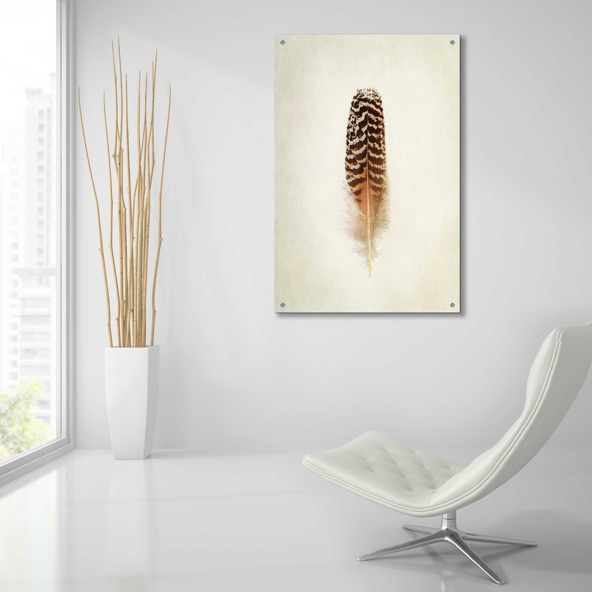 Epic Art 'Feather I' by Debra Van Swearingen, Acrylic Glass Wall Art,24x36