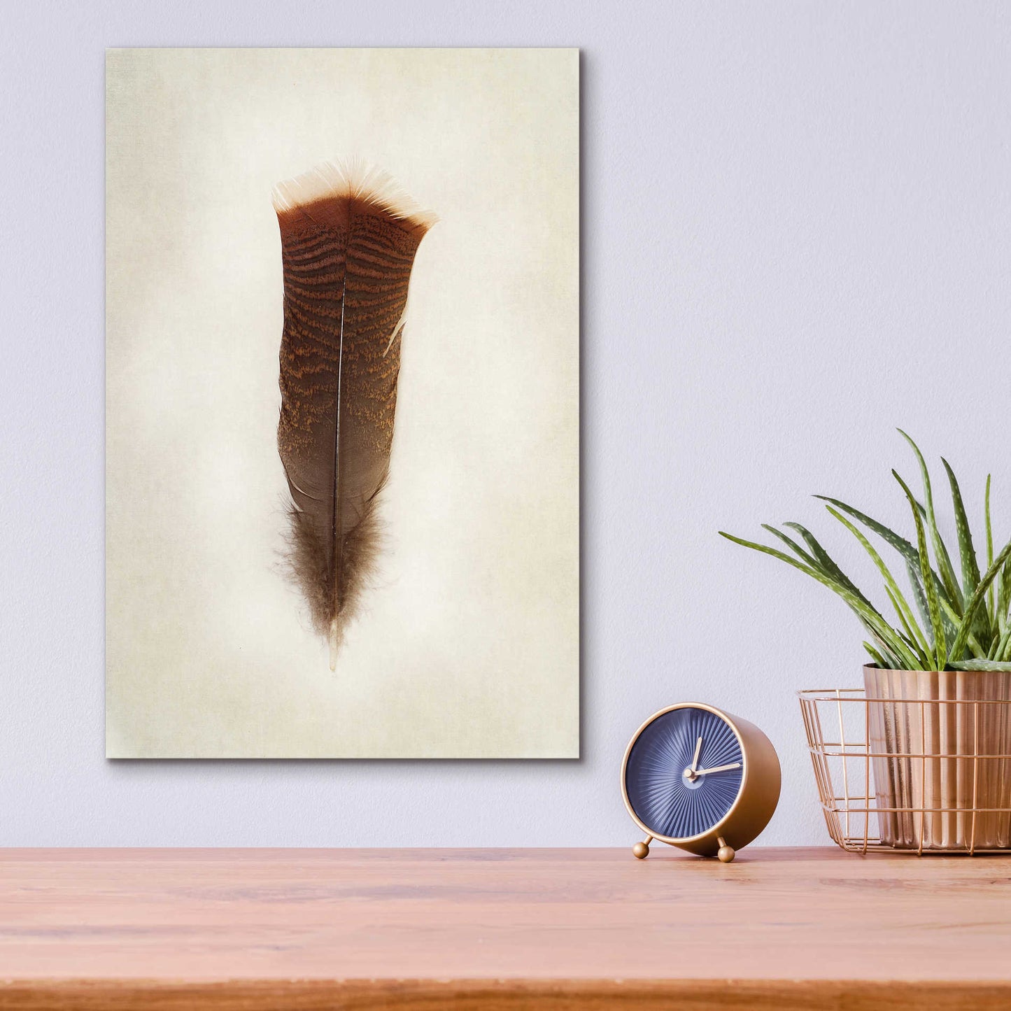 Epic Art 'Feather III' by Debra Van Swearingen, Acrylic Glass Wall Art,12x16