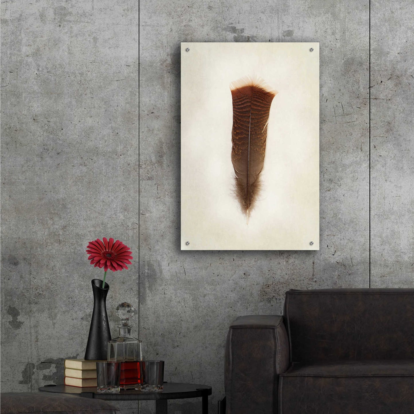 Epic Art 'Feather III' by Debra Van Swearingen, Acrylic Glass Wall Art,24x36