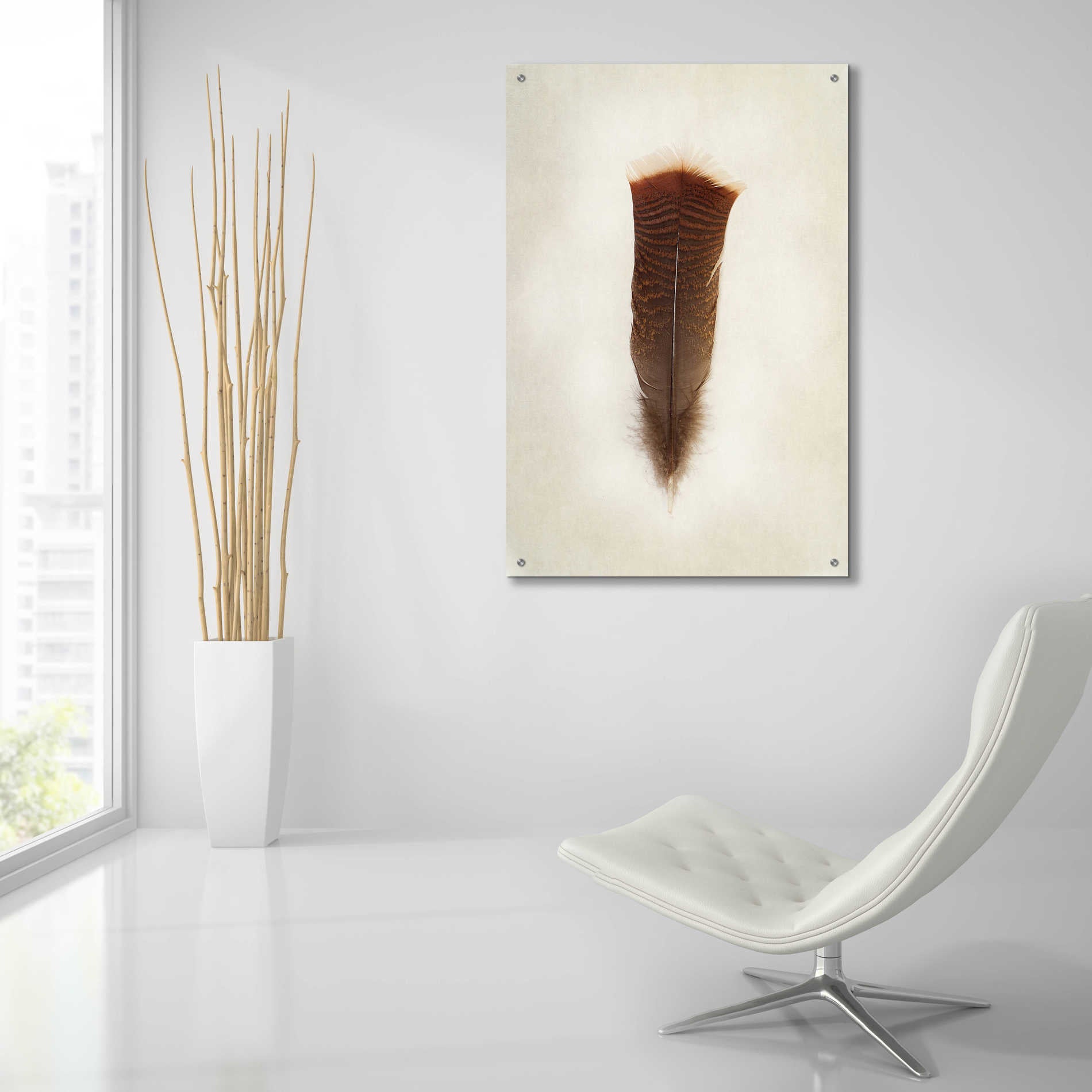 Epic Art 'Feather III' by Debra Van Swearingen, Acrylic Glass Wall Art,24x36