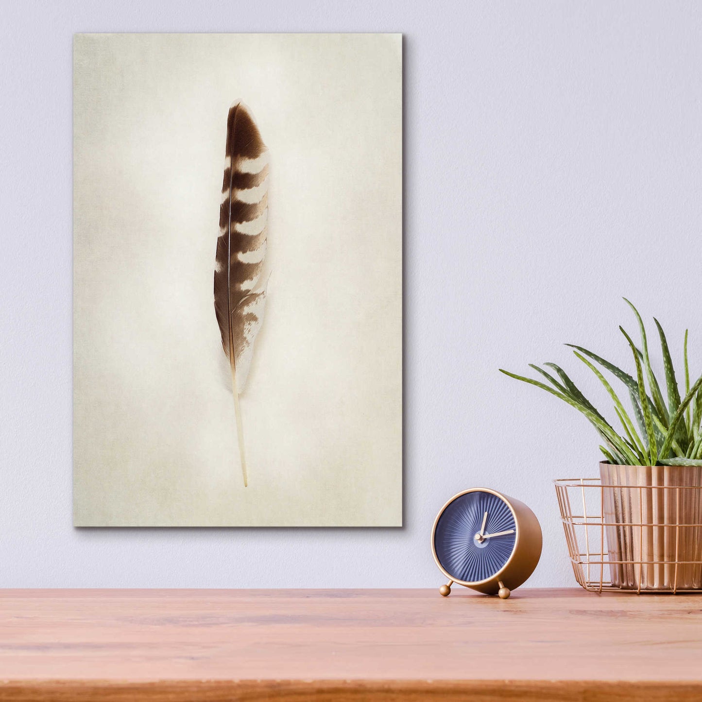 Epic Art 'Feather IV' by Debra Van Swearingen, Acrylic Glass Wall Art,12x16