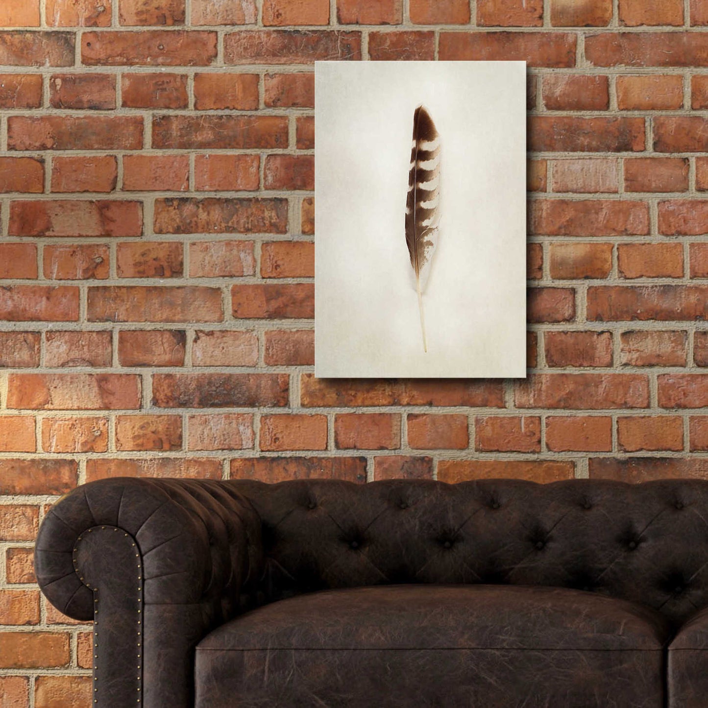 Epic Art 'Feather IV' by Debra Van Swearingen, Acrylic Glass Wall Art,16x24