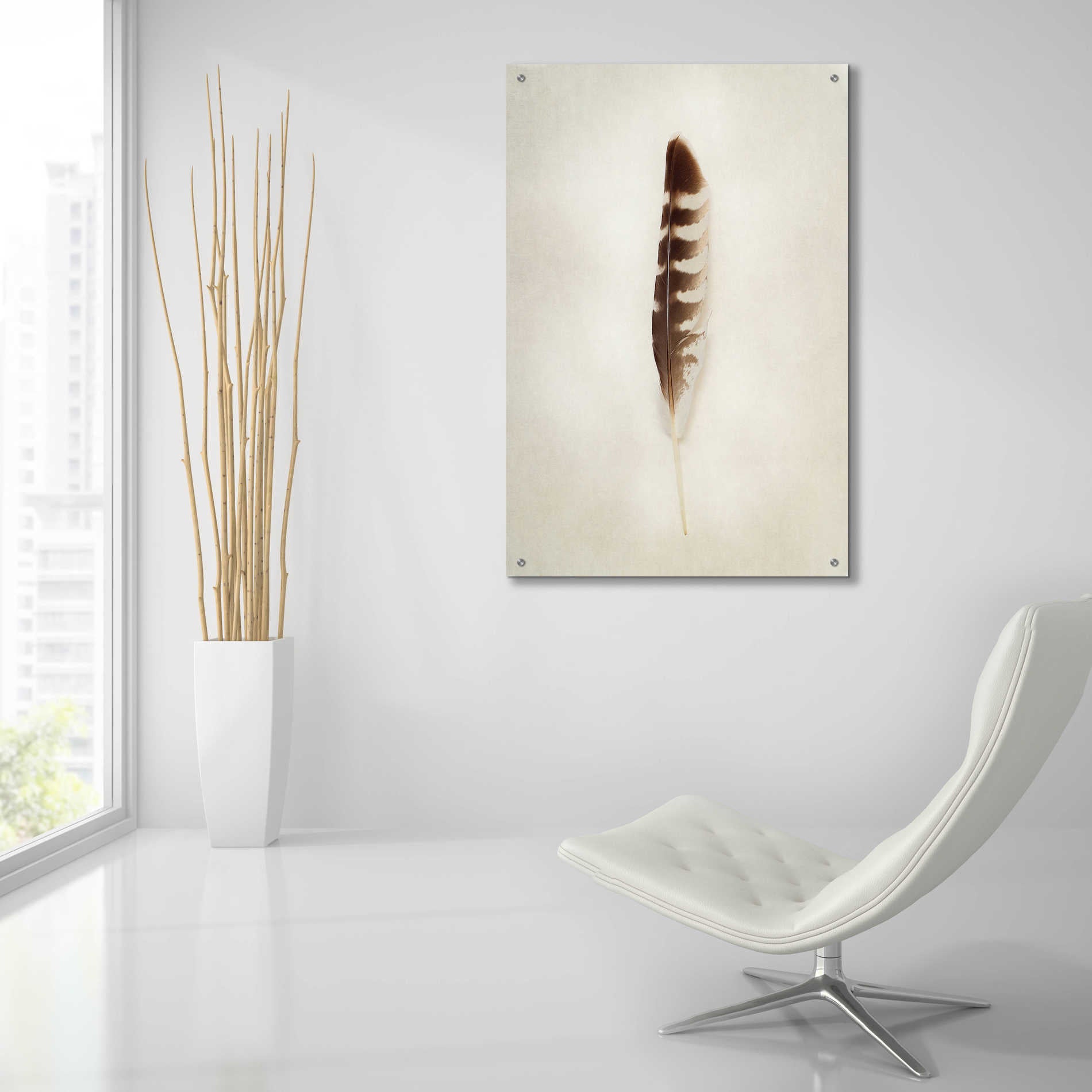 Epic Art 'Feather IV' by Debra Van Swearingen, Acrylic Glass Wall Art,24x36