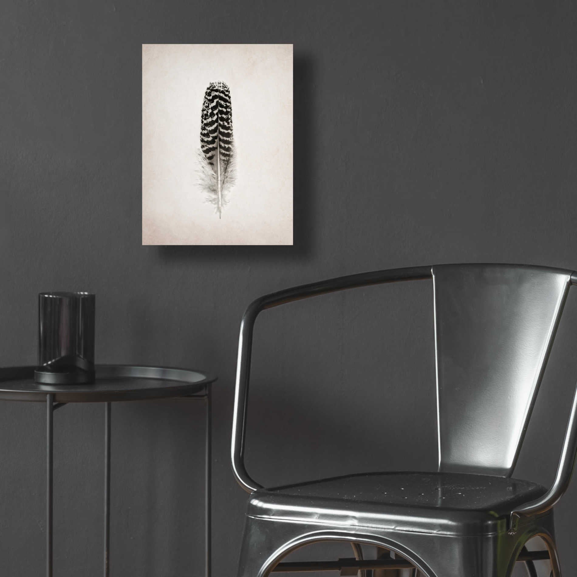 Epic Art 'Feather I B&W' by Debra Van Swearingen, Acrylic Glass Wall Art,12x16