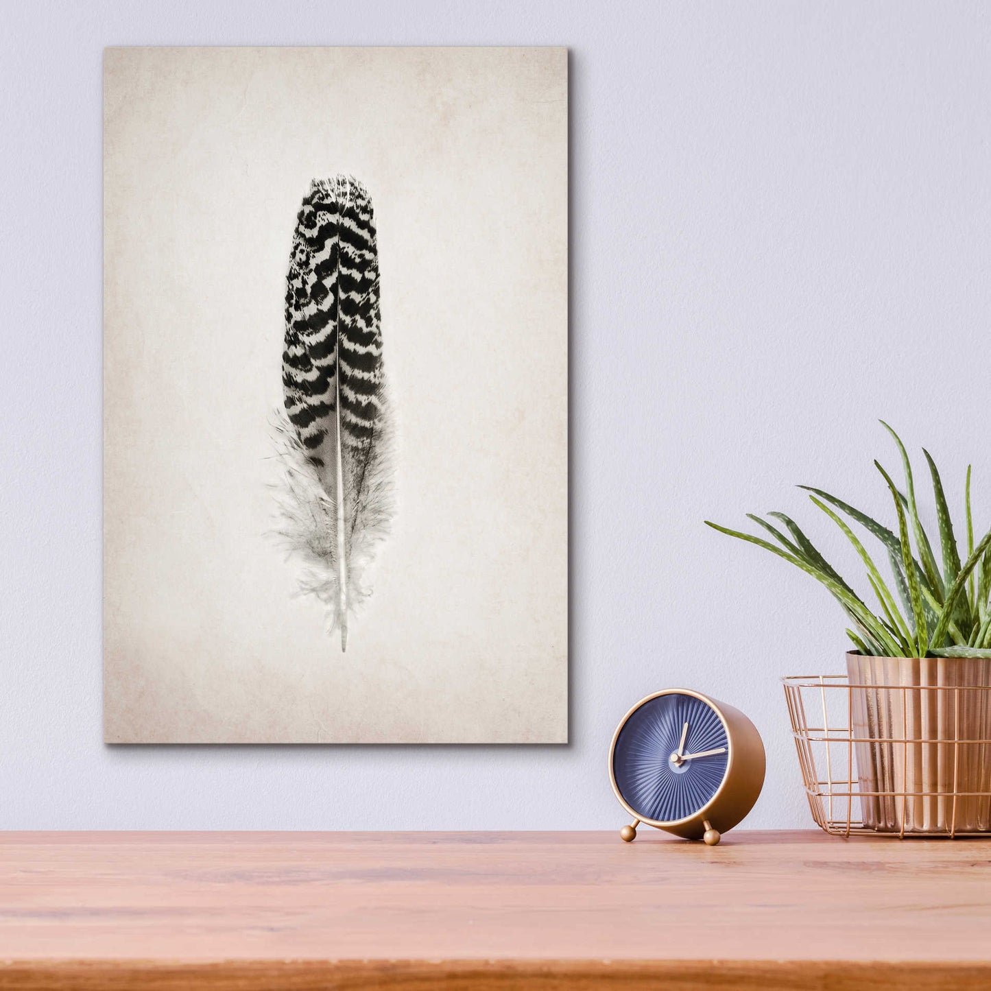 Epic Art 'Feather I B&W' by Debra Van Swearingen, Acrylic Glass Wall Art,12x16