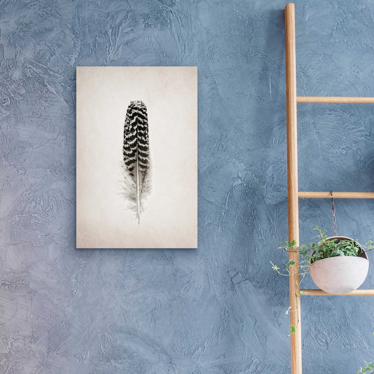 Epic Art 'Feather I B&W' by Debra Van Swearingen, Acrylic Glass Wall Art,16x24