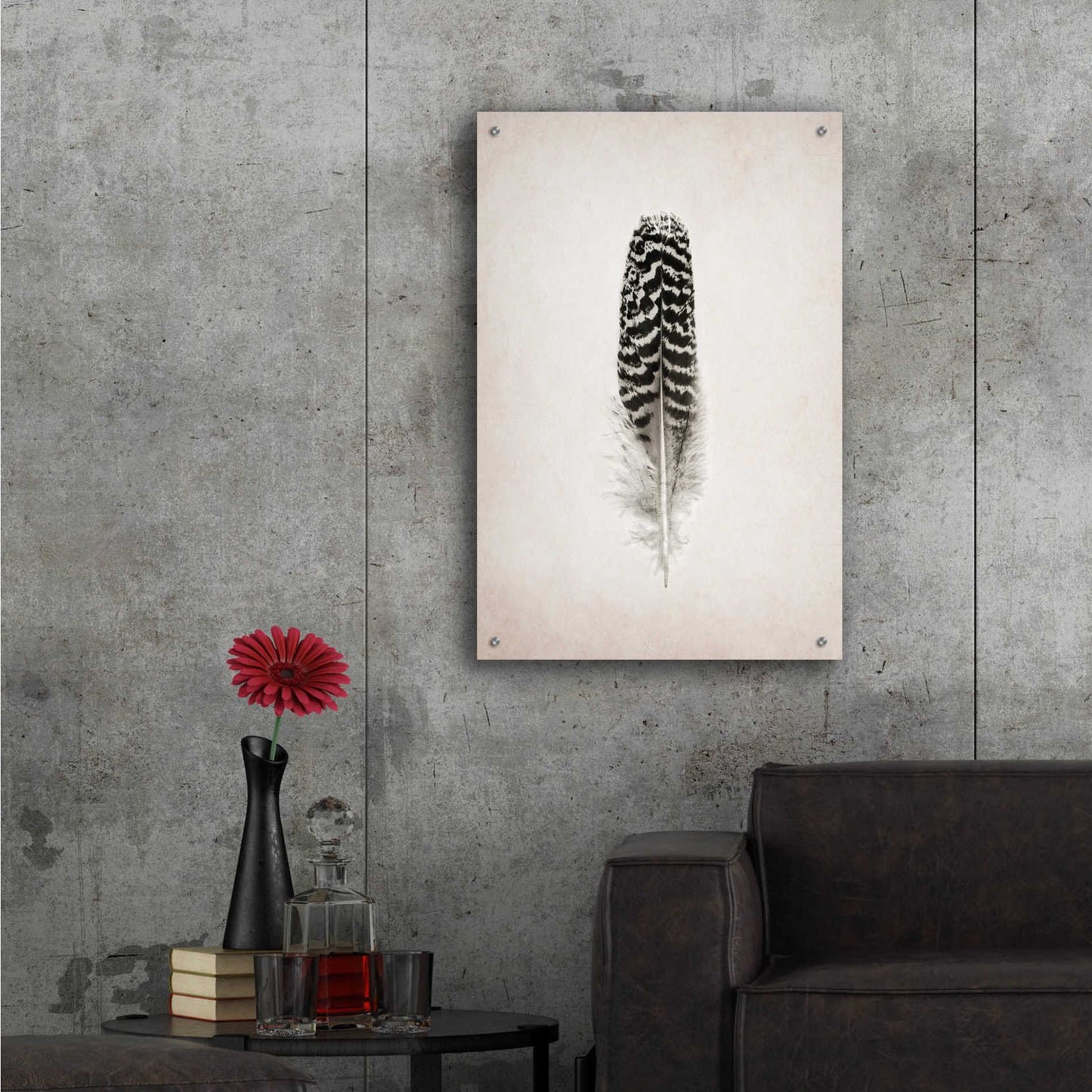 Epic Art 'Feather I B&W' by Debra Van Swearingen, Acrylic Glass Wall Art,24x36