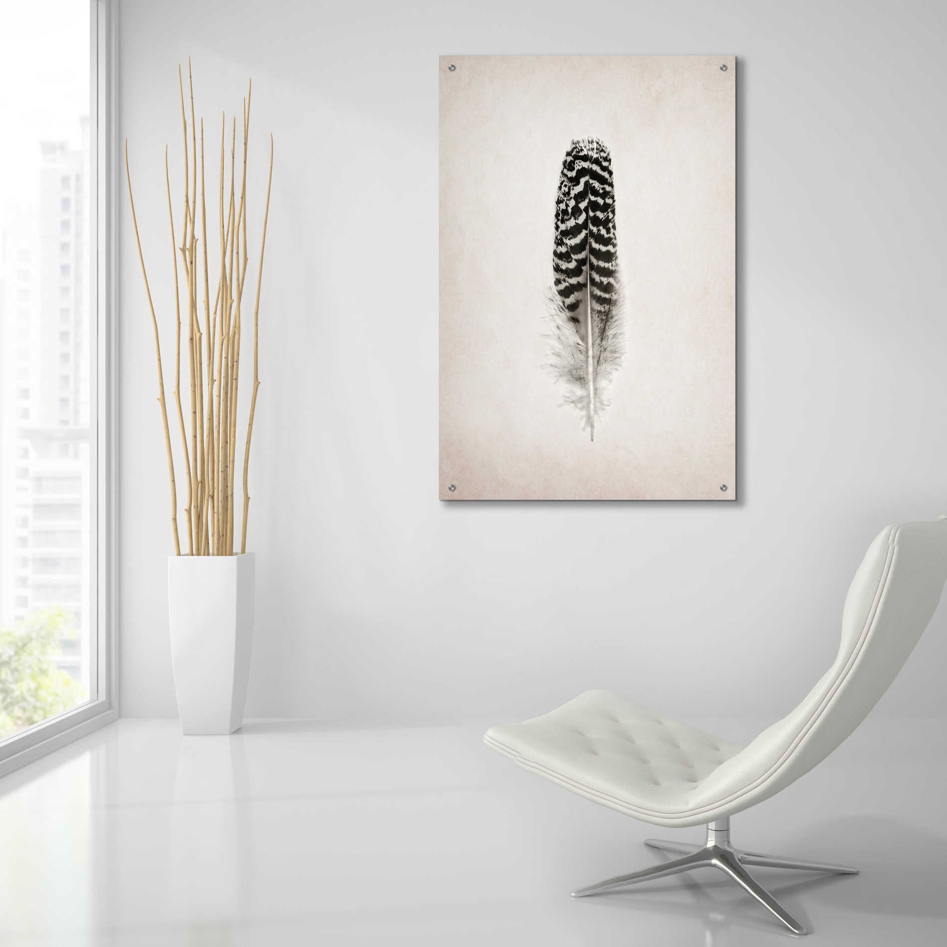 Epic Art 'Feather I B&W' by Debra Van Swearingen, Acrylic Glass Wall Art,24x36