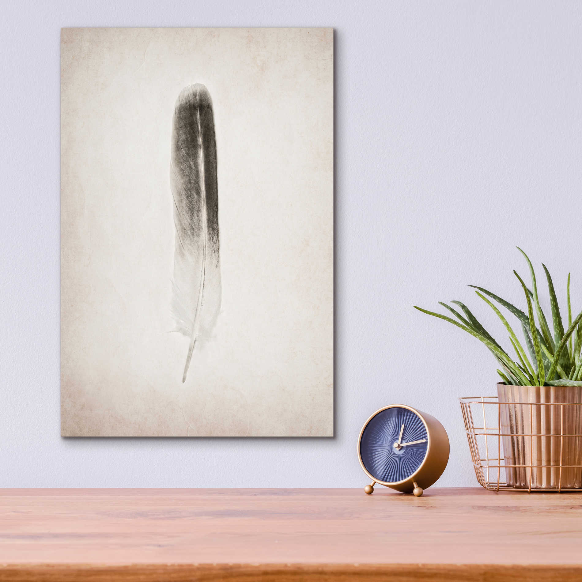 Epic Art 'Feather II B&W' by Debra Van Swearingen, Acrylic Glass Wall Art,12x16