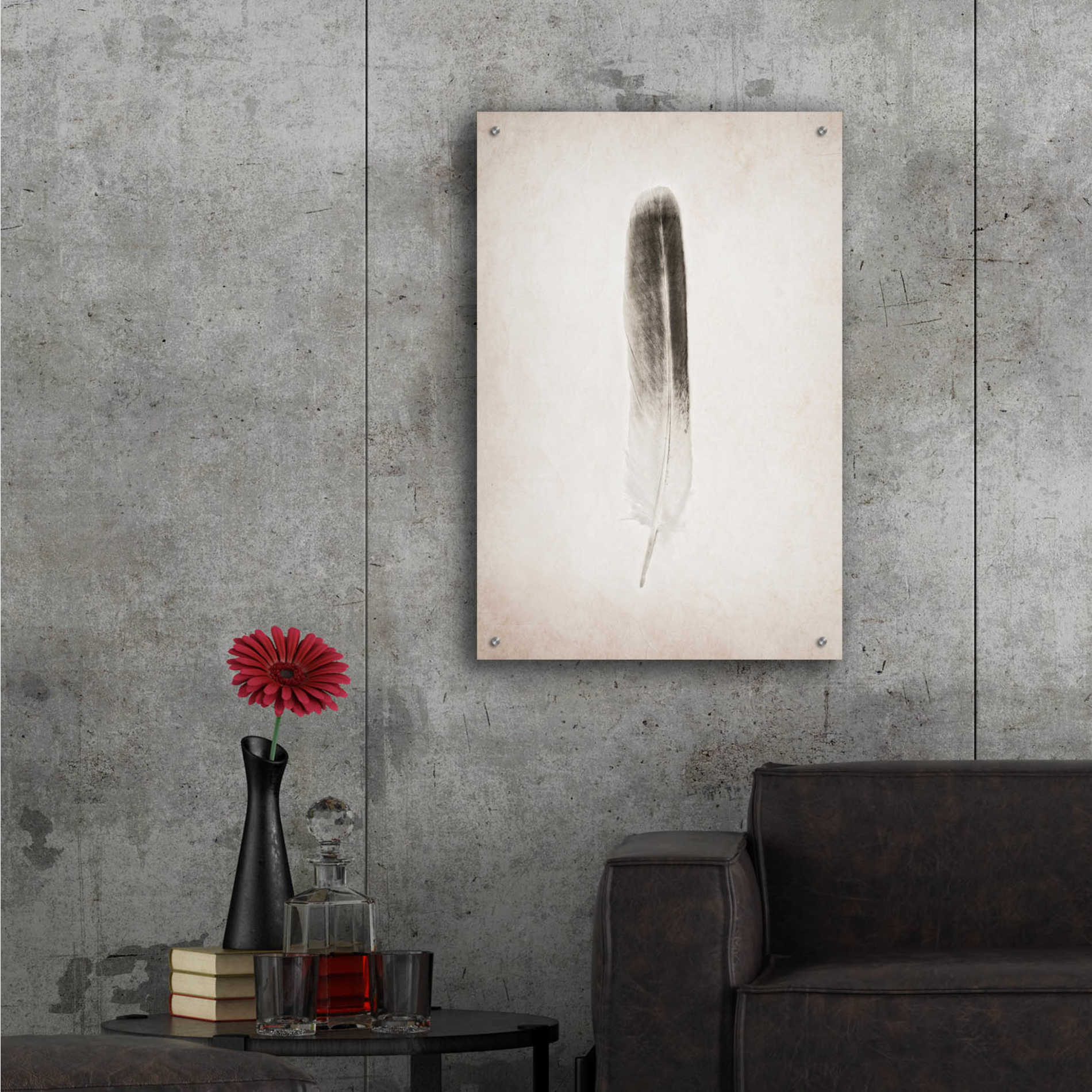 Epic Art 'Feather II B&W' by Debra Van Swearingen, Acrylic Glass Wall Art,24x36