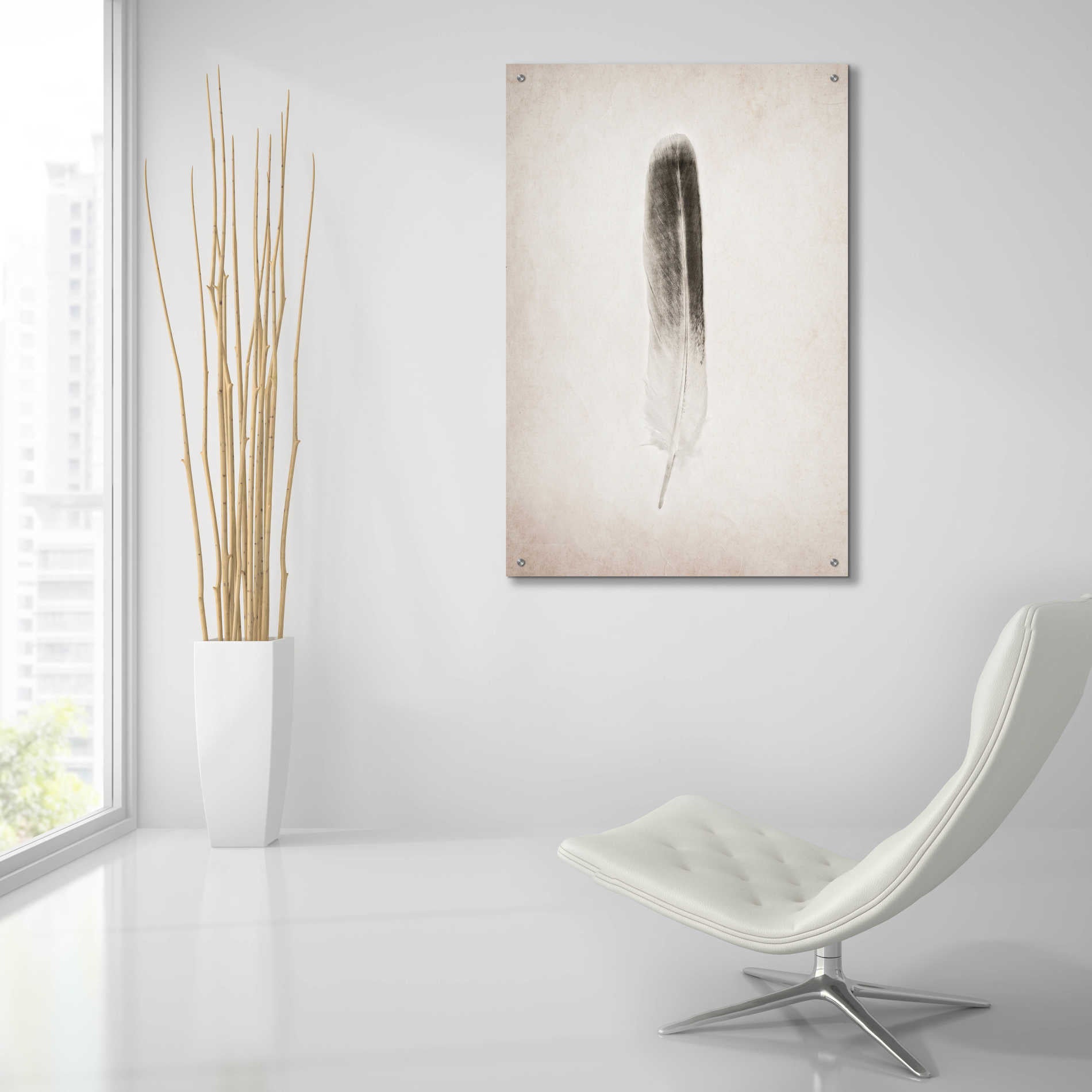 Epic Art 'Feather II B&W' by Debra Van Swearingen, Acrylic Glass Wall Art,24x36