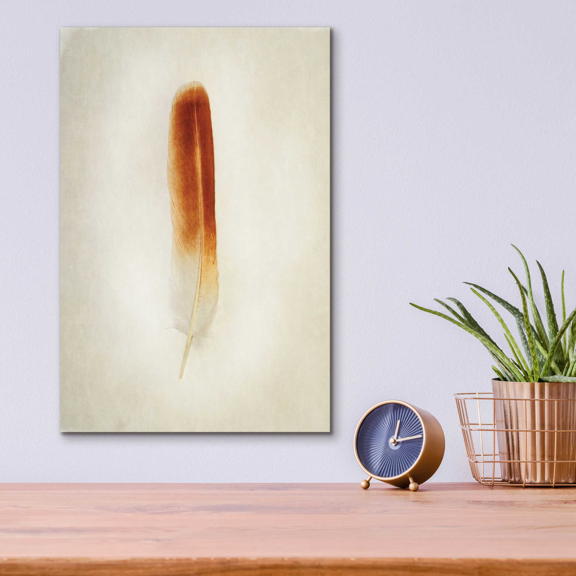 Epic Art 'Feather II' by Debra Van Swearingen, Acrylic Glass Wall Art,12x16