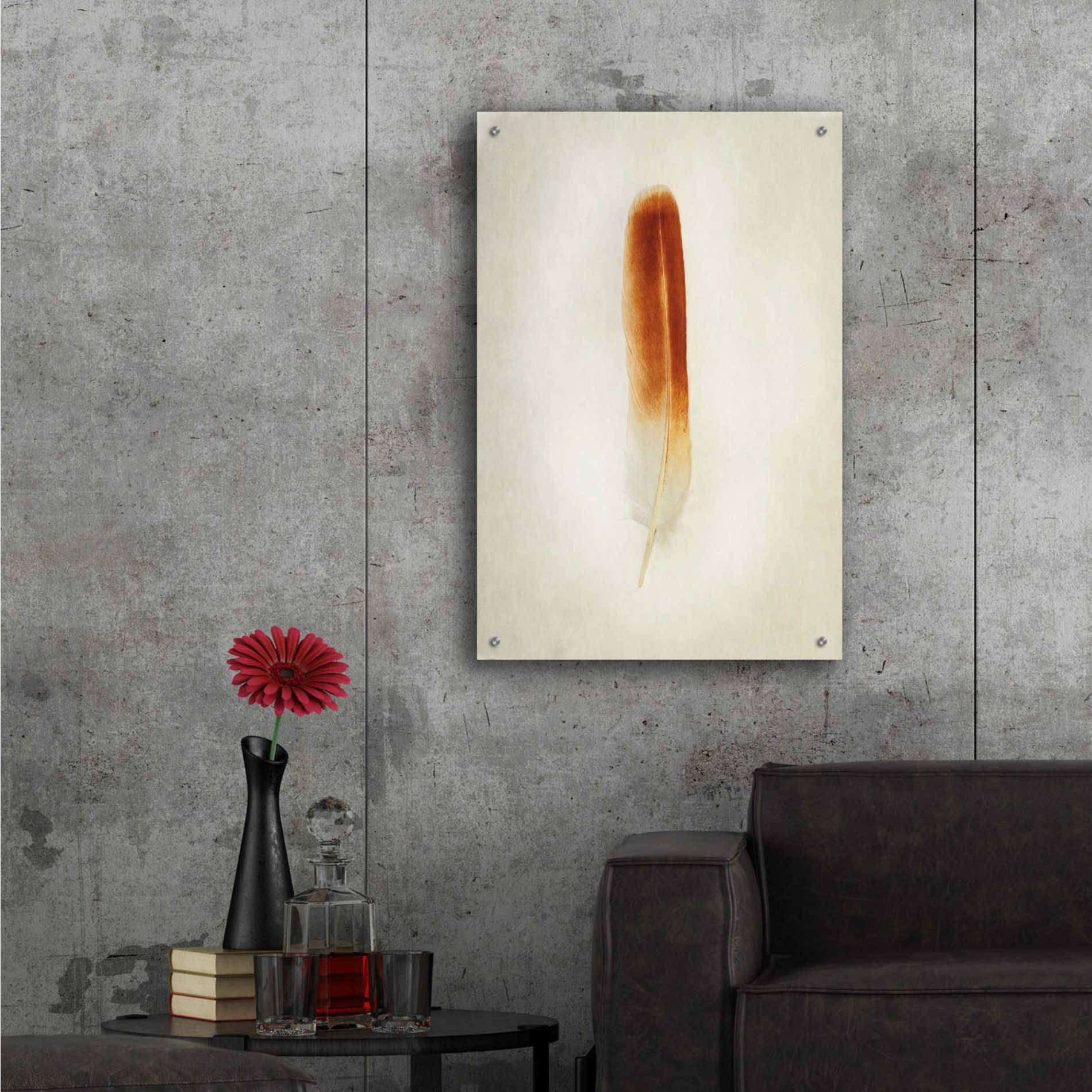 Epic Art 'Feather II' by Debra Van Swearingen, Acrylic Glass Wall Art,24x36