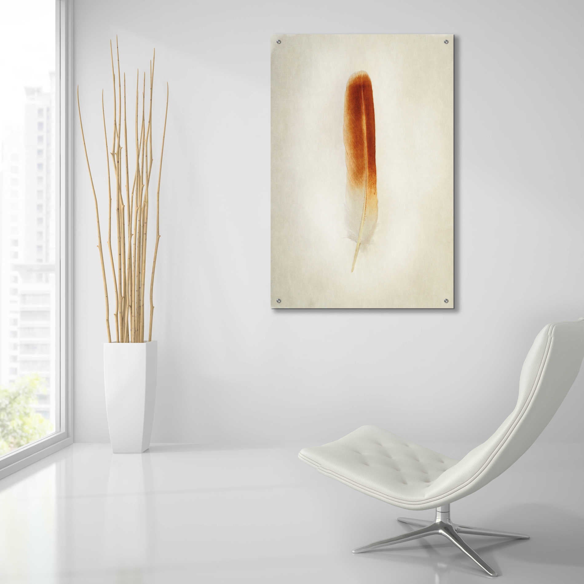 Epic Art 'Feather II' by Debra Van Swearingen, Acrylic Glass Wall Art,24x36