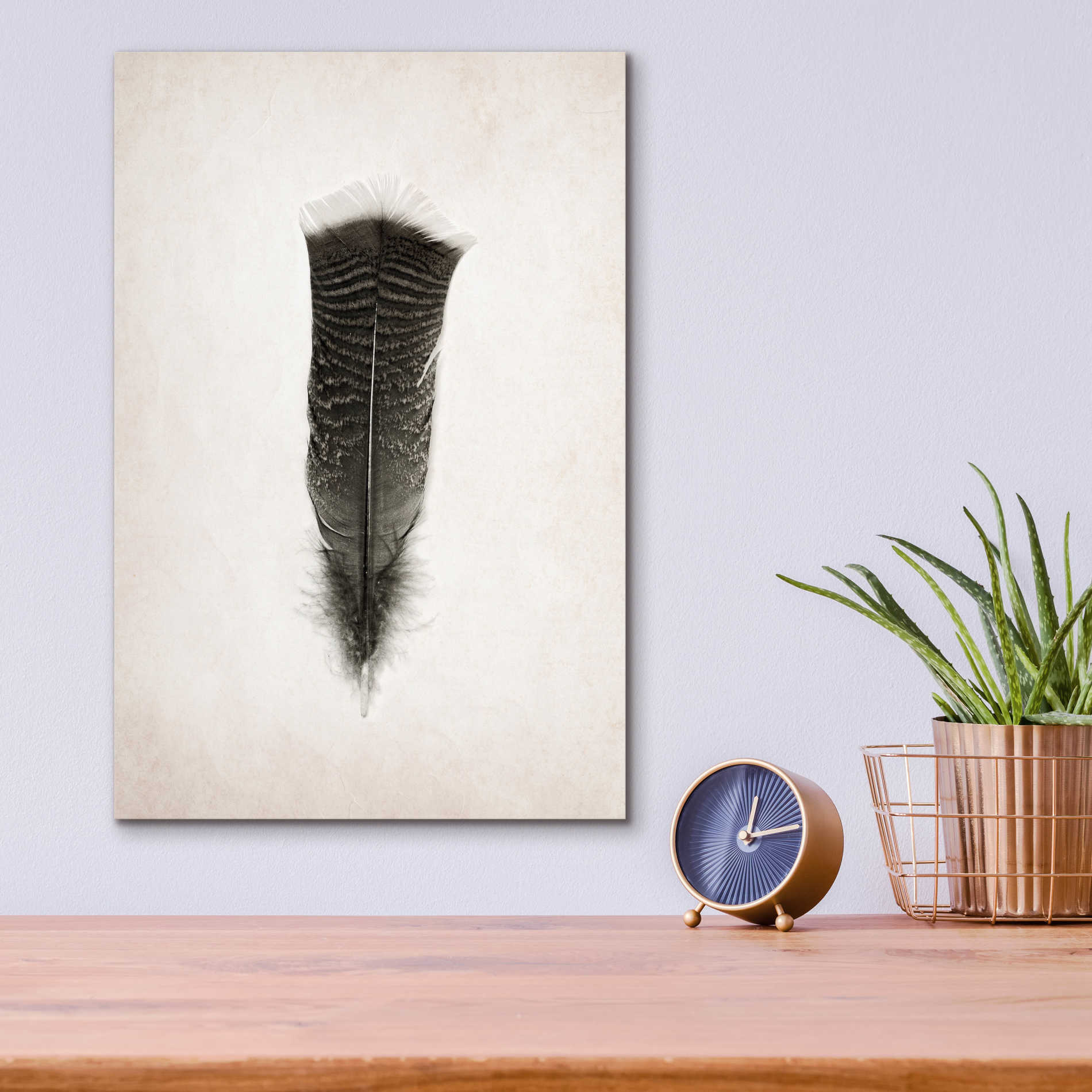 Epic Art 'Feather III B&W' by Debra Van Swearingen, Acrylic Glass Wall Art,12x16