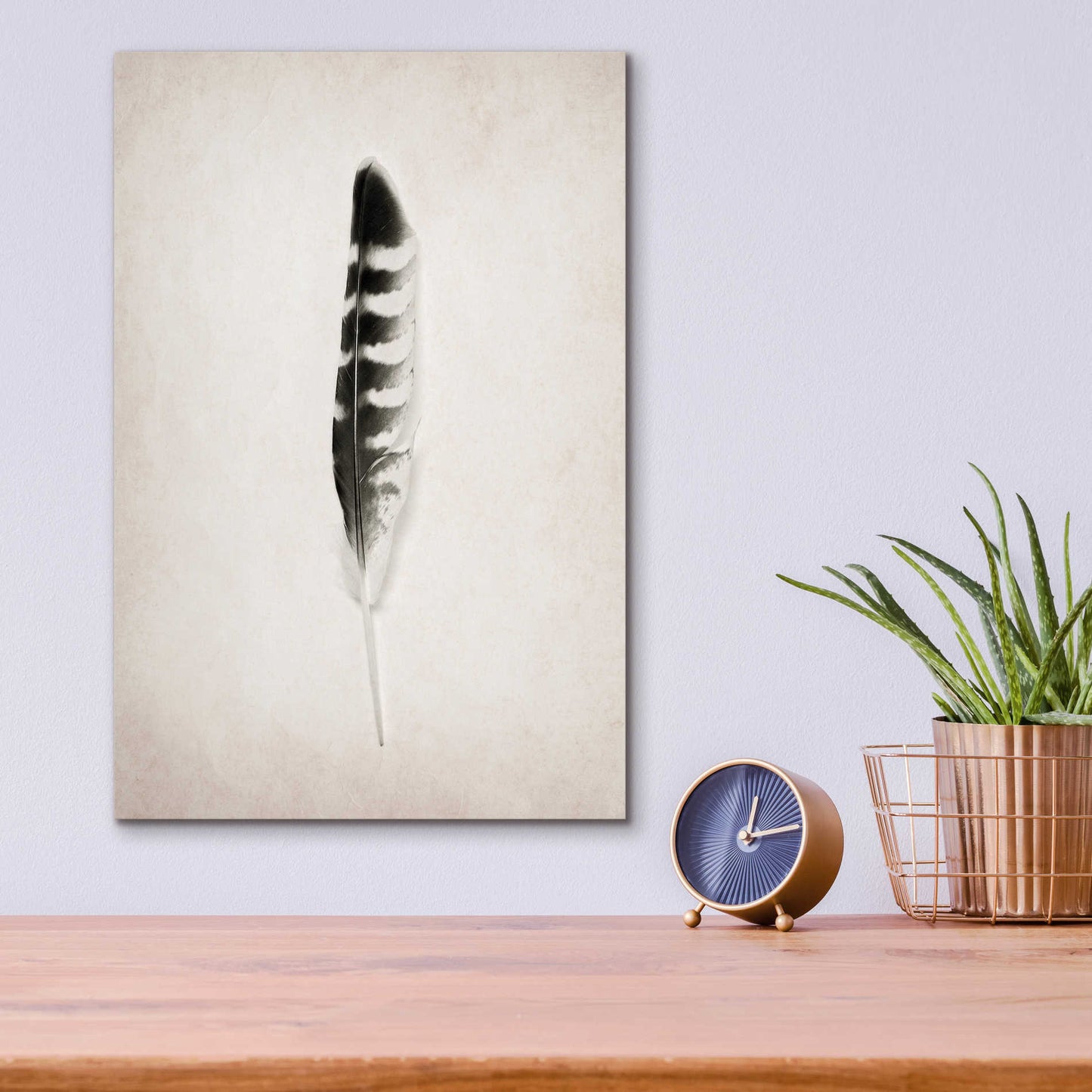 Epic Art 'Feather IV B&W' by Debra Van Swearingen, Acrylic Glass Wall Art,12x16