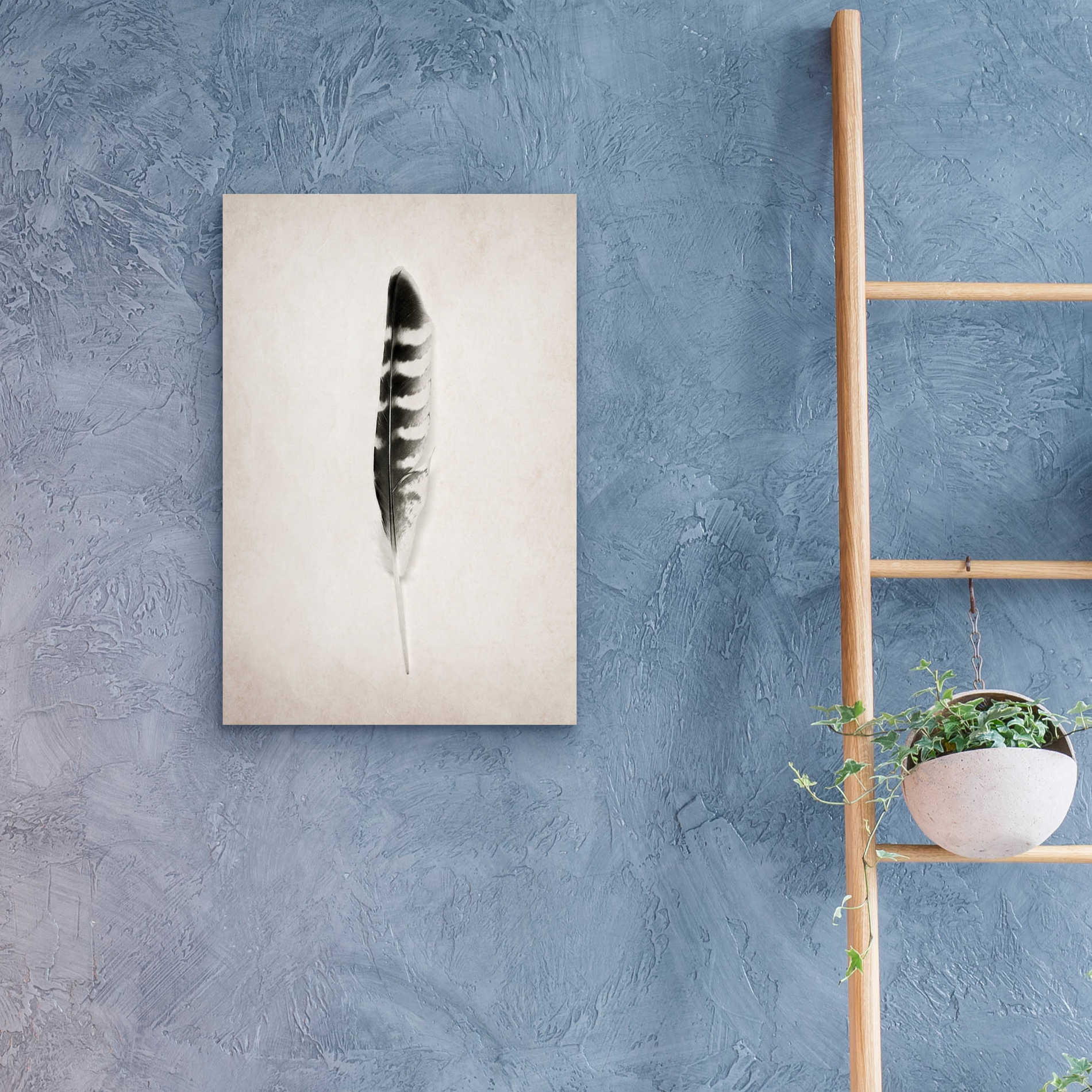 Epic Art 'Feather IV B&W' by Debra Van Swearingen, Acrylic Glass Wall Art,16x24